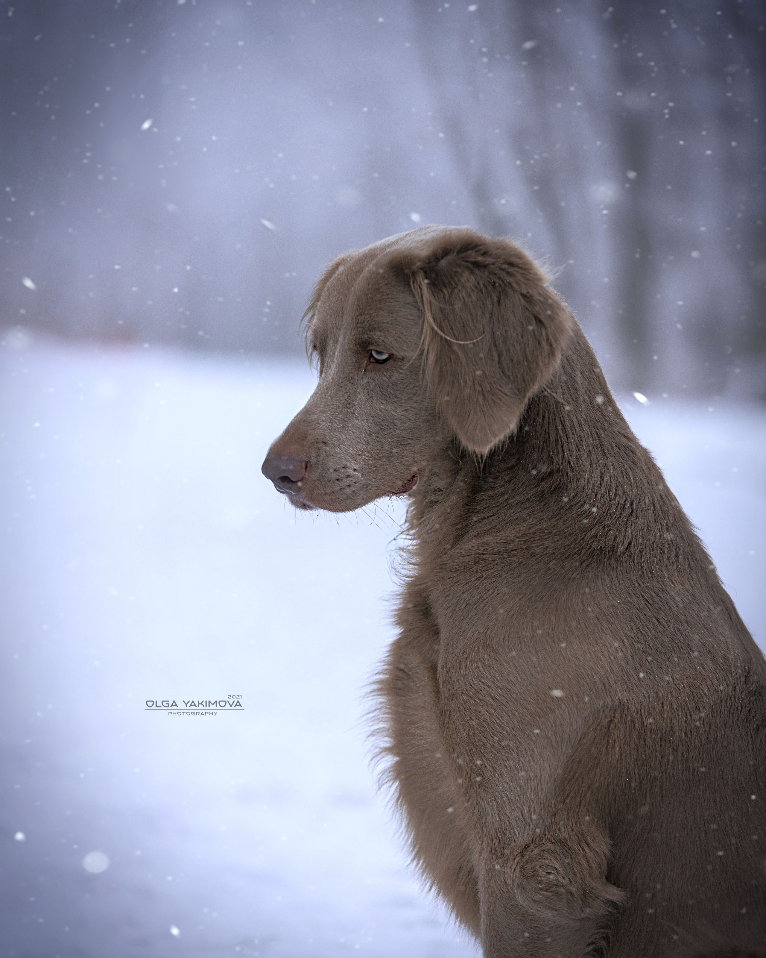 Экстерьер. Фотограф