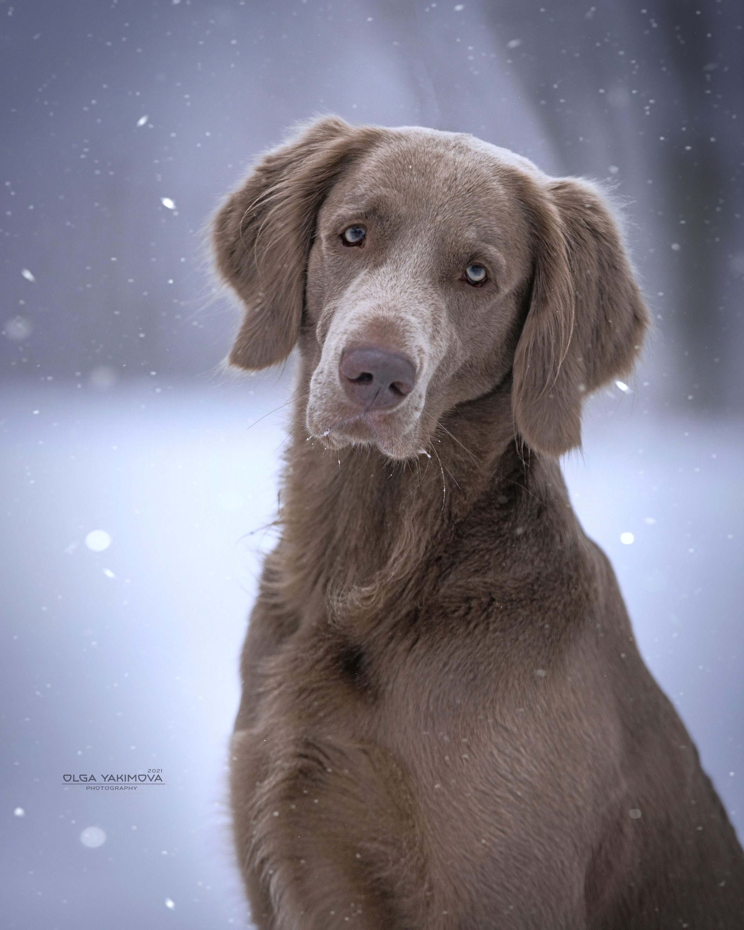 Экстерьер. Фотограф
