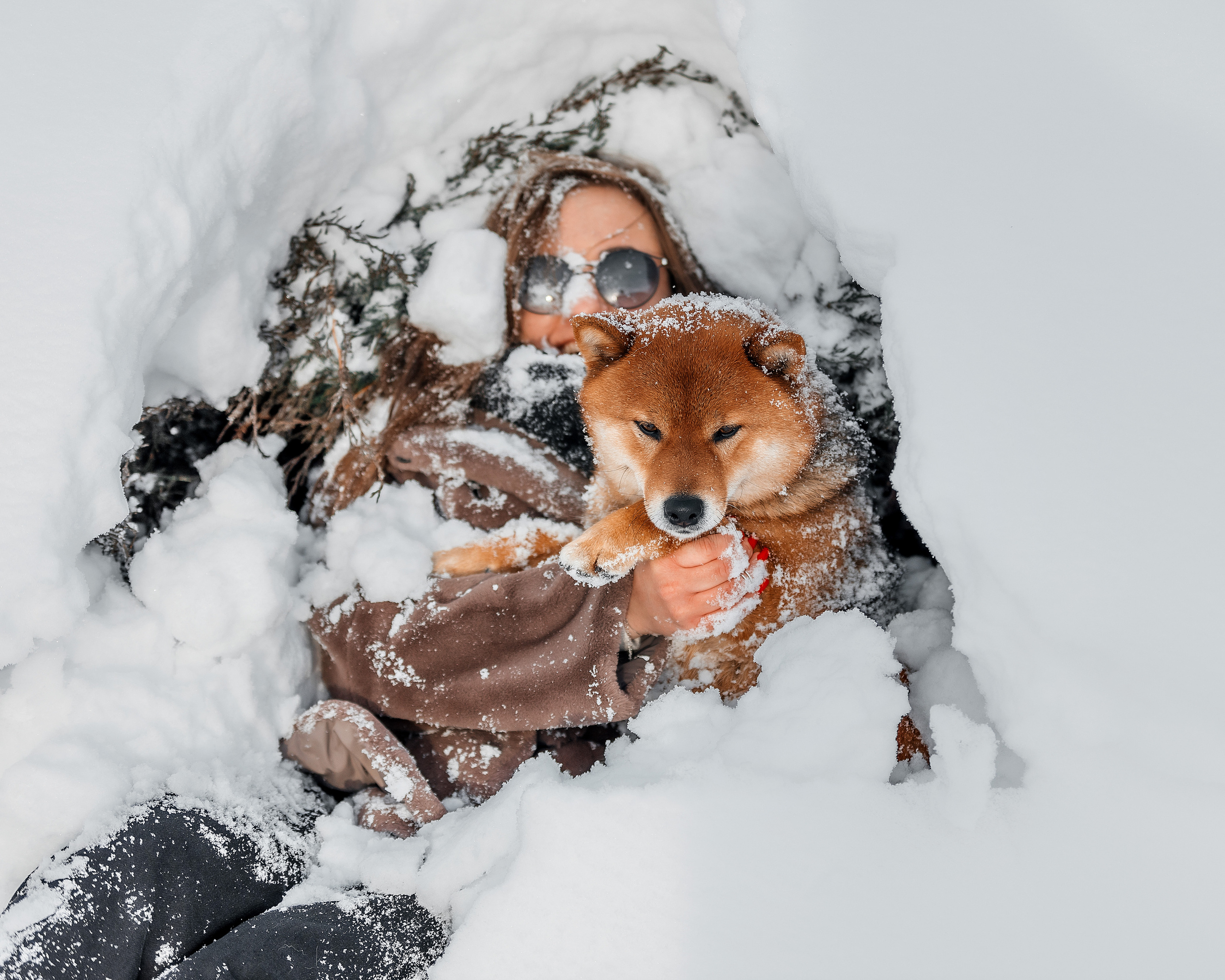 Сиба. Фотограф
