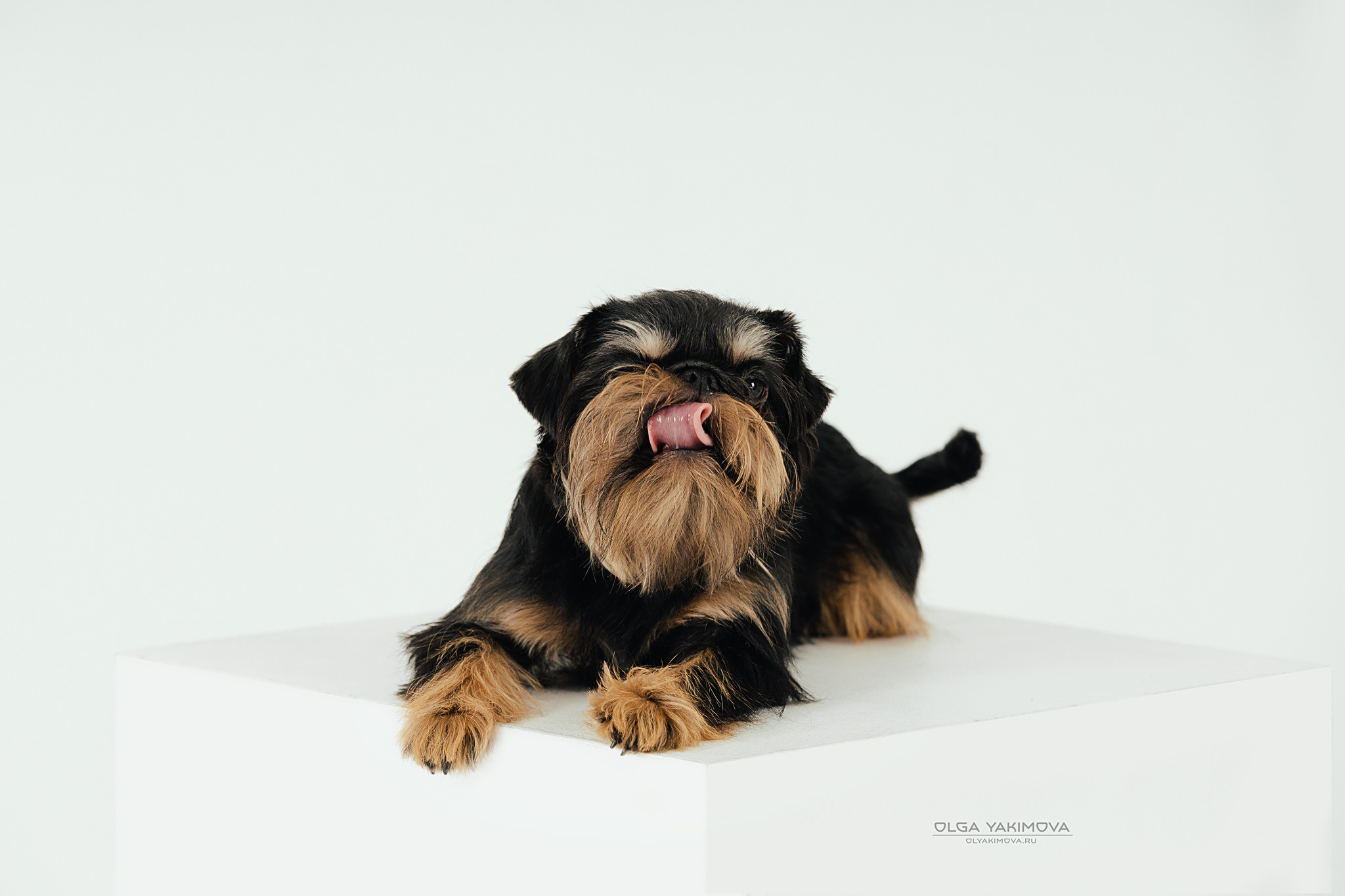 Экстерьер. Фотограф