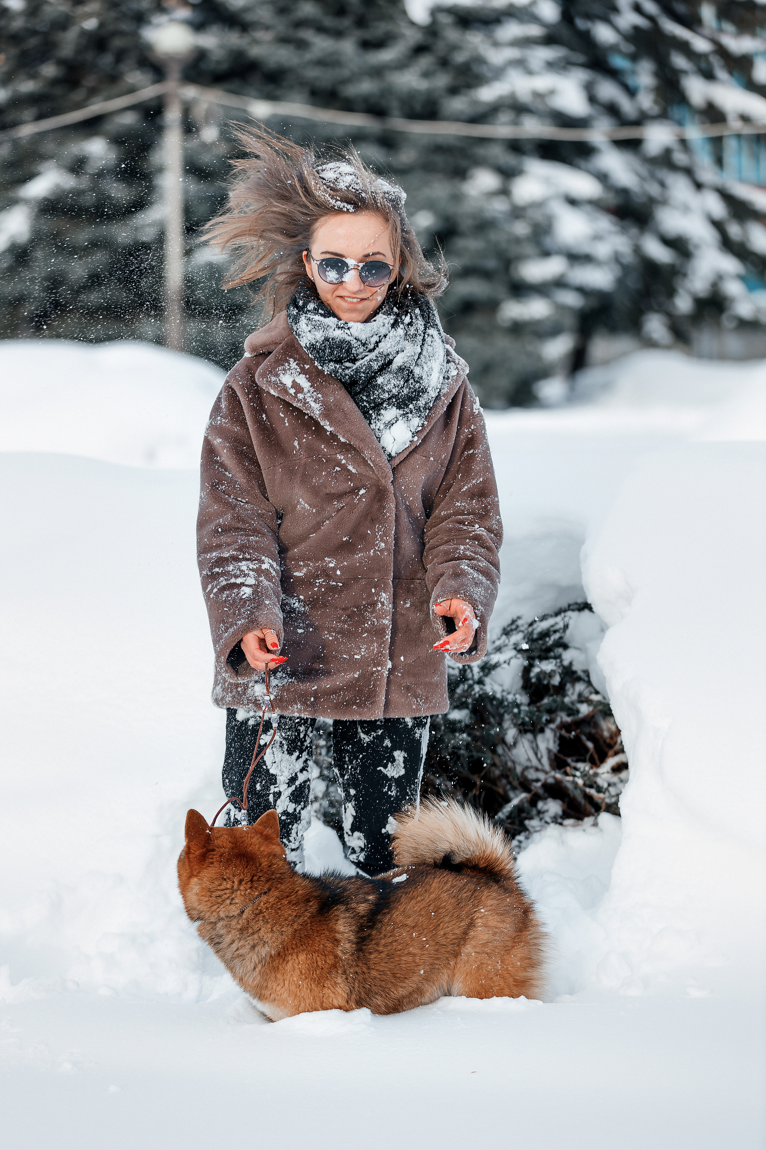 Сиба. Фотограф