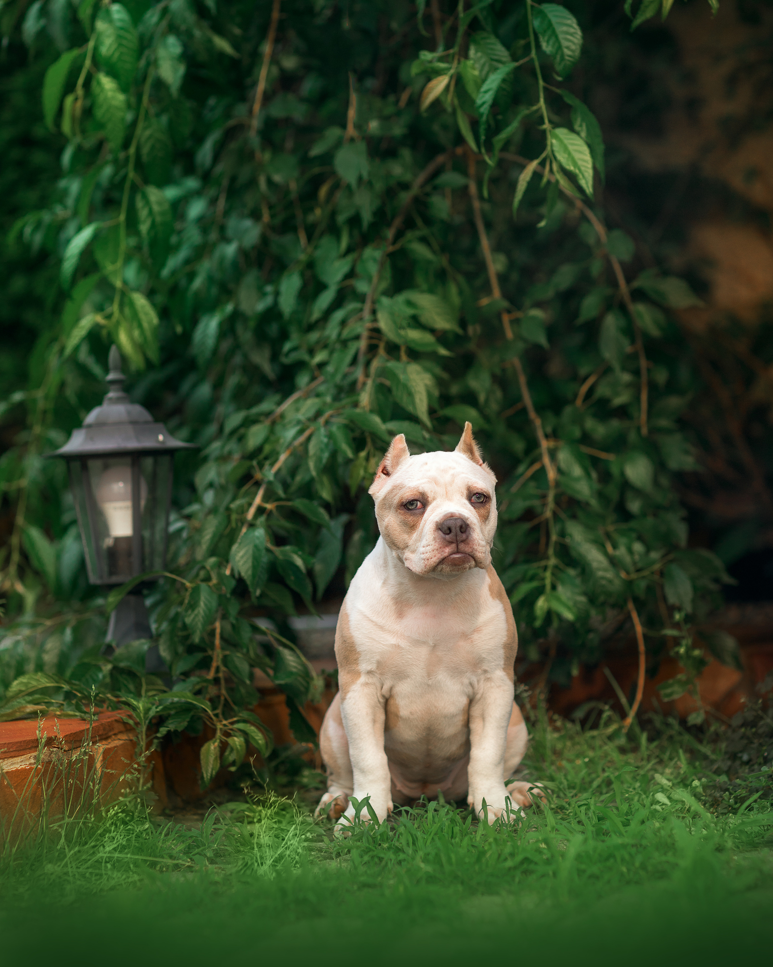 Экстерьер. Фотограф