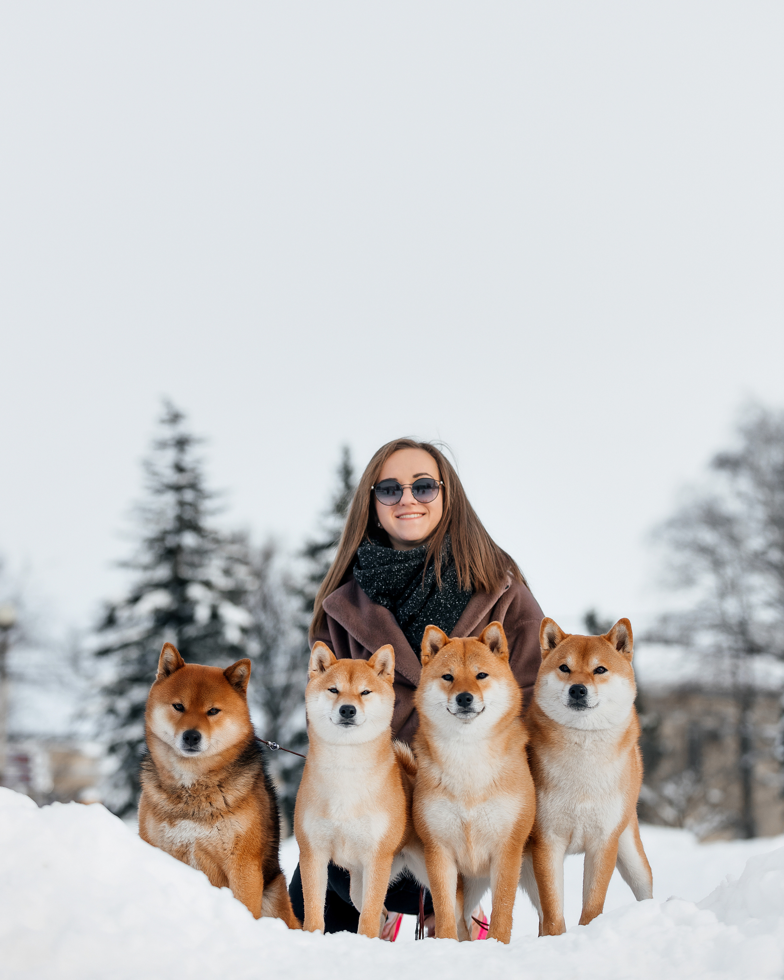 Сиба. Фотограф