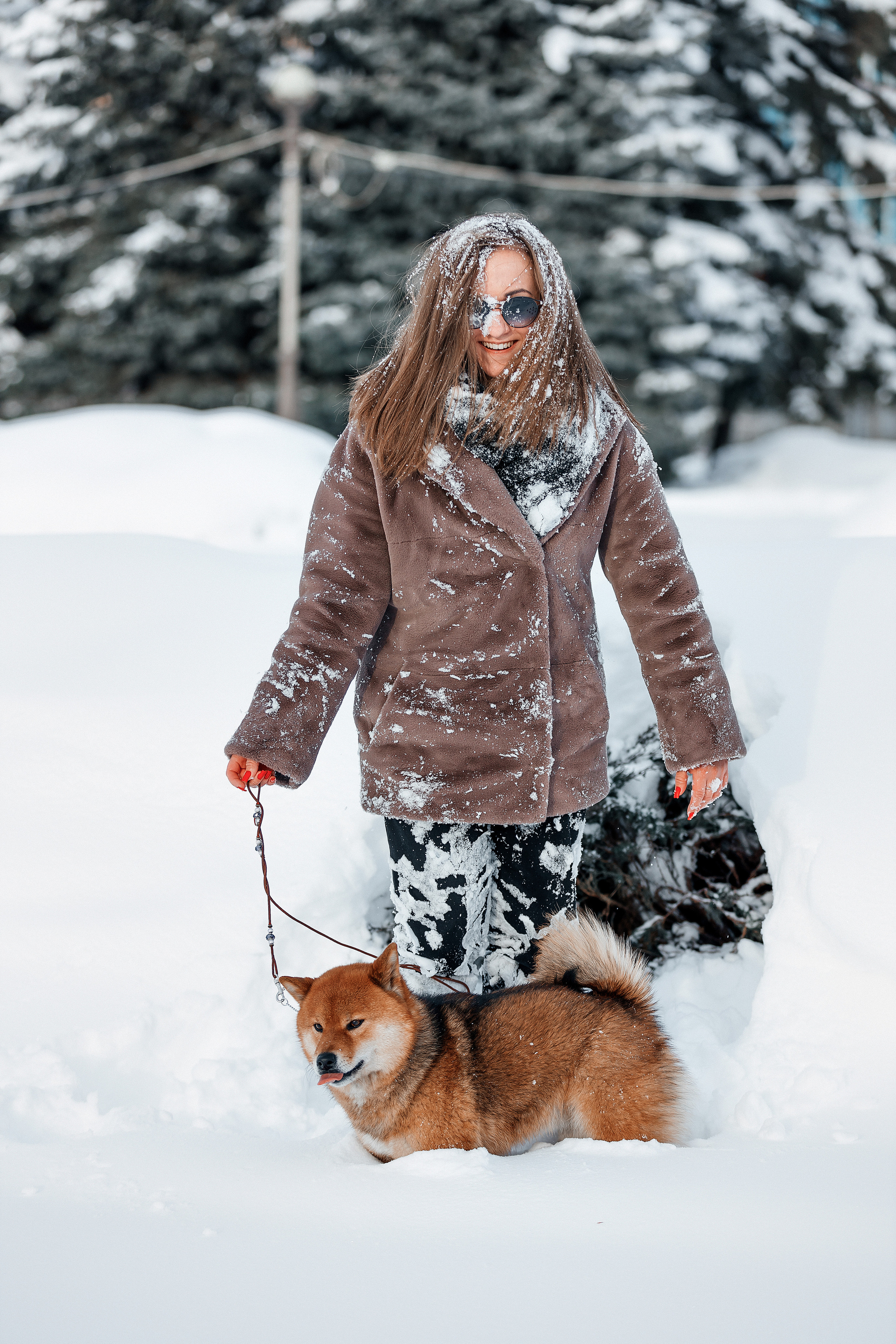 Сиба. Фотограф