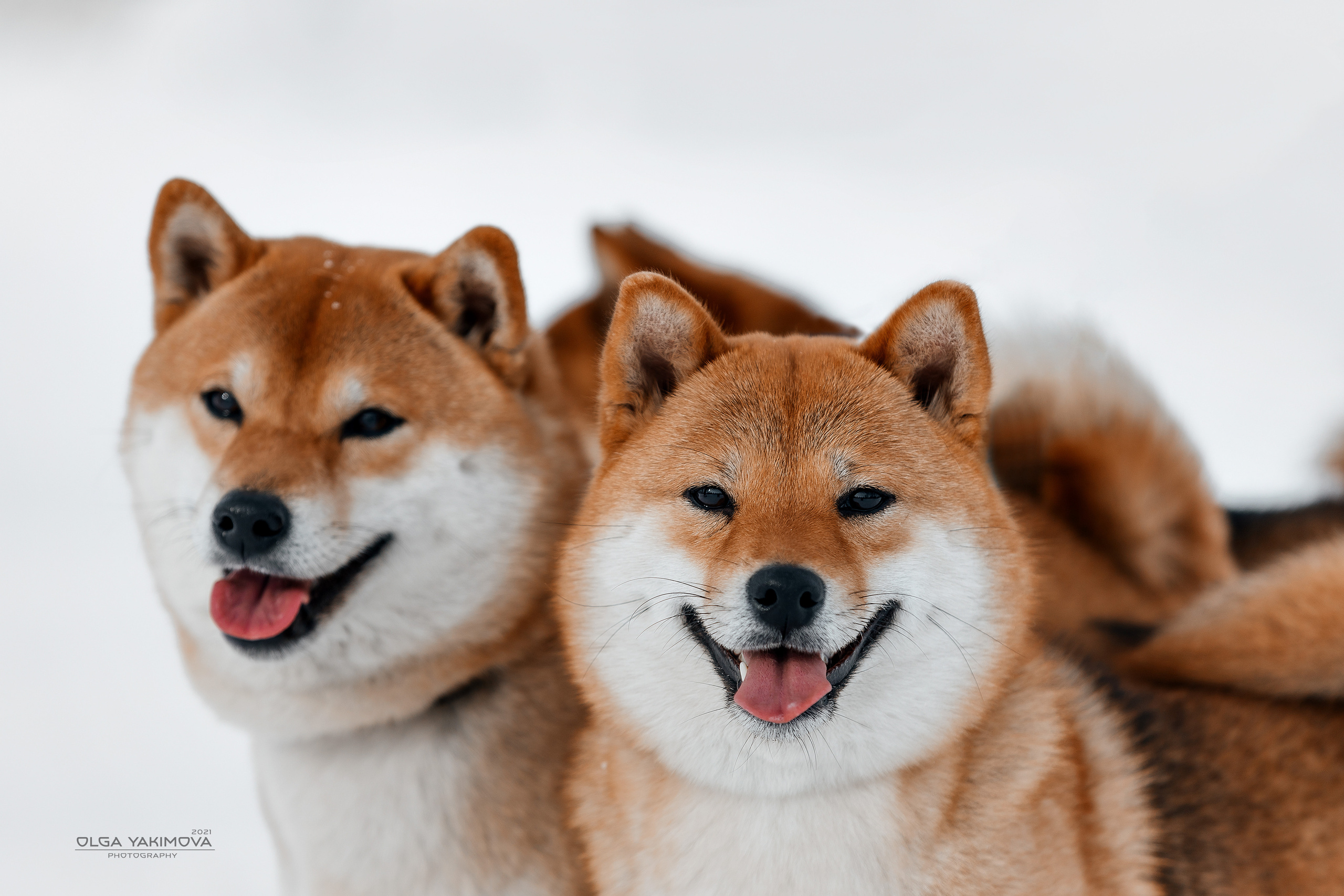 Экстерьер. Фотограф