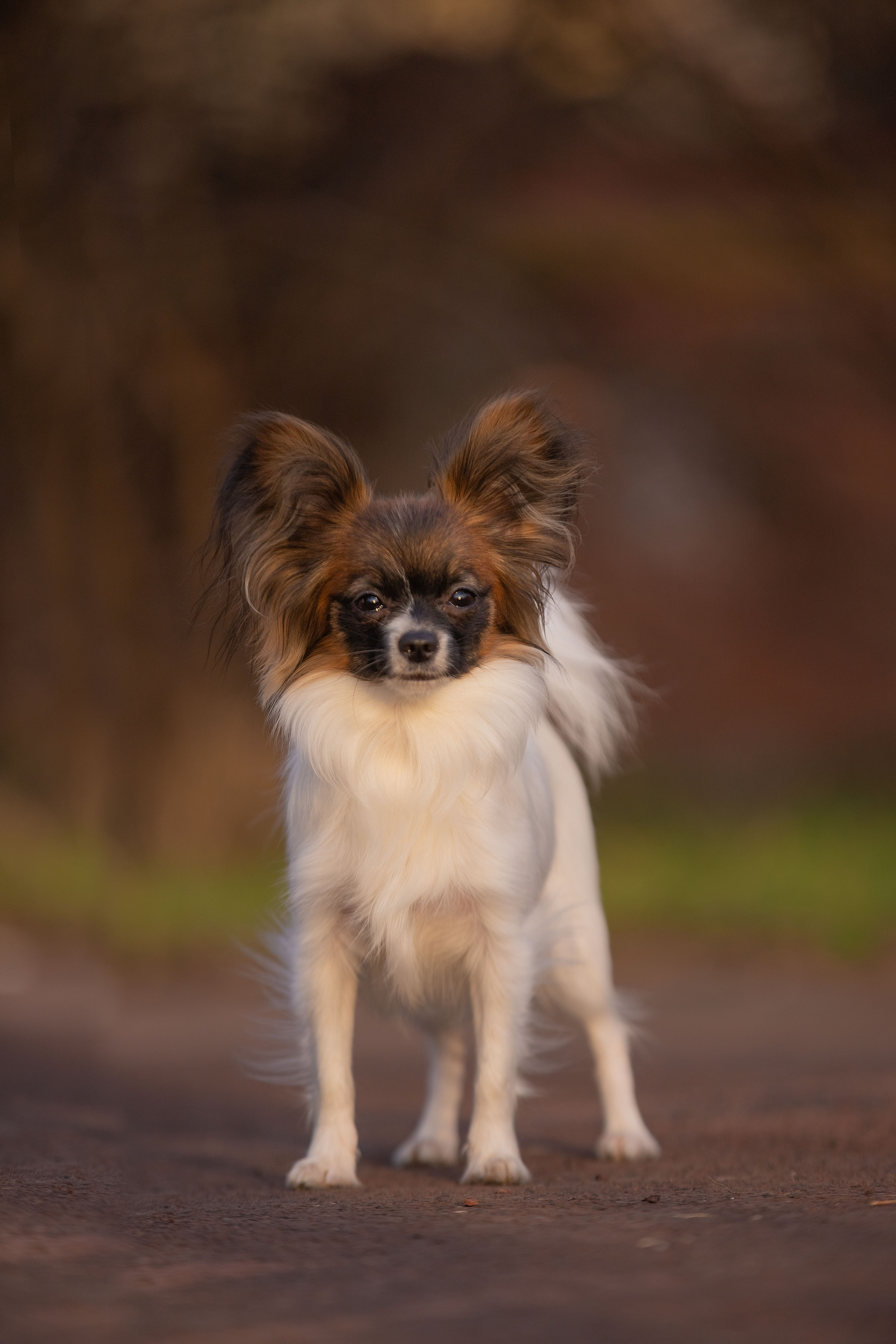 Экстерьер. Фотограф