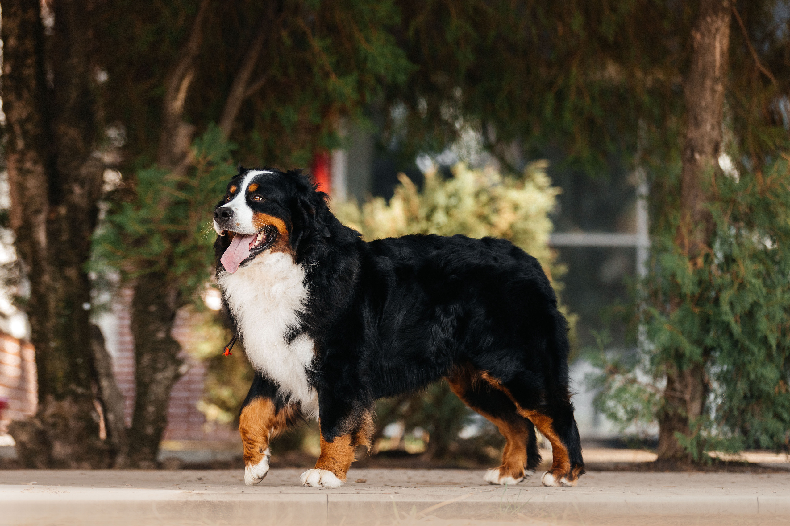 Экстерьер. Фотограф