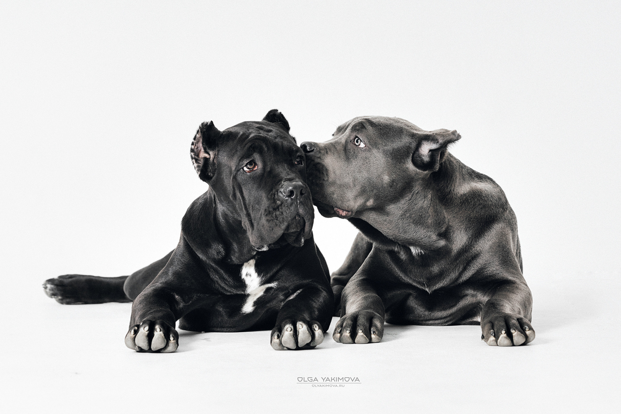 Экстерьер. Фотограф