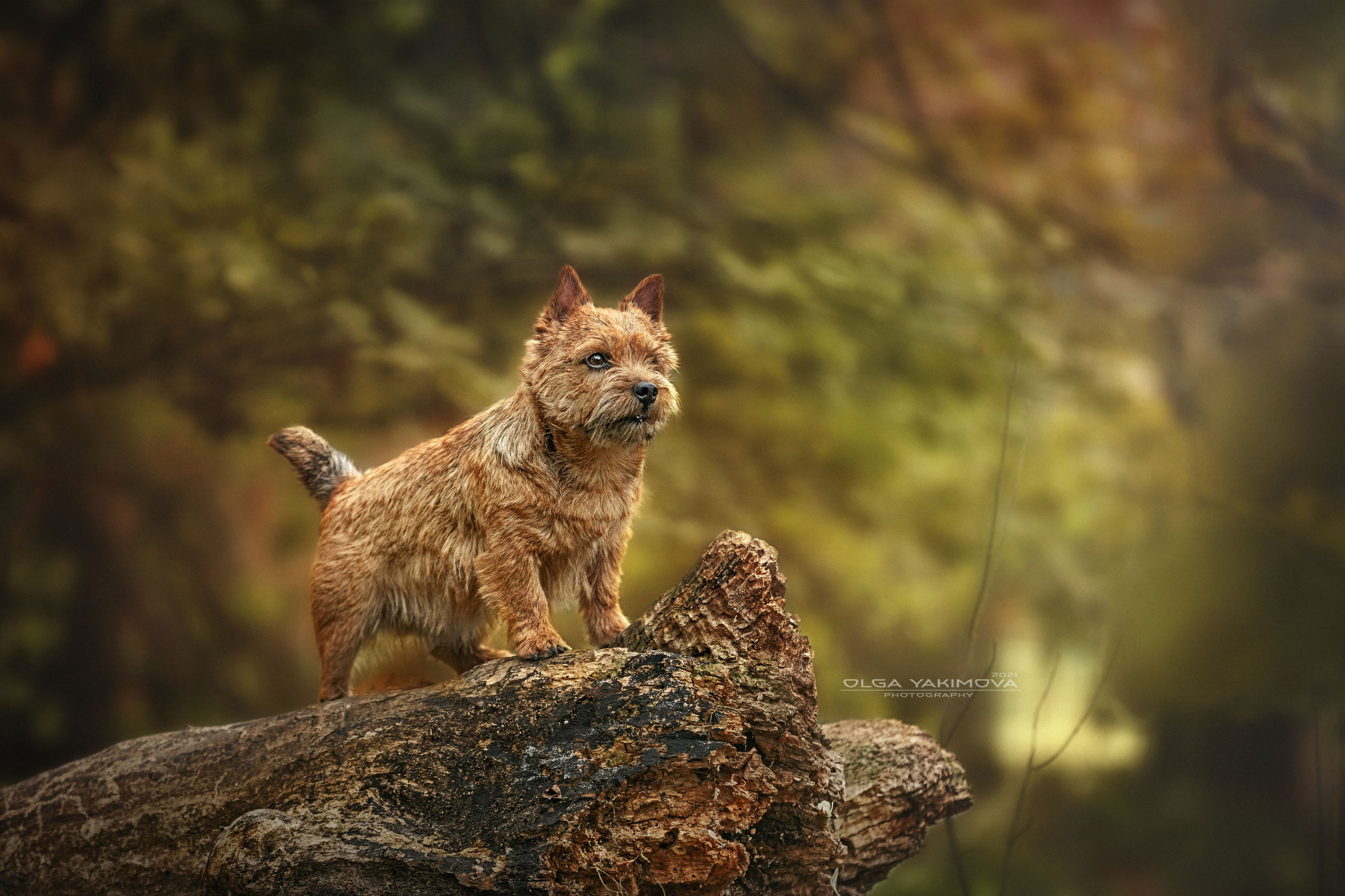 Экстерьер. Фотограф