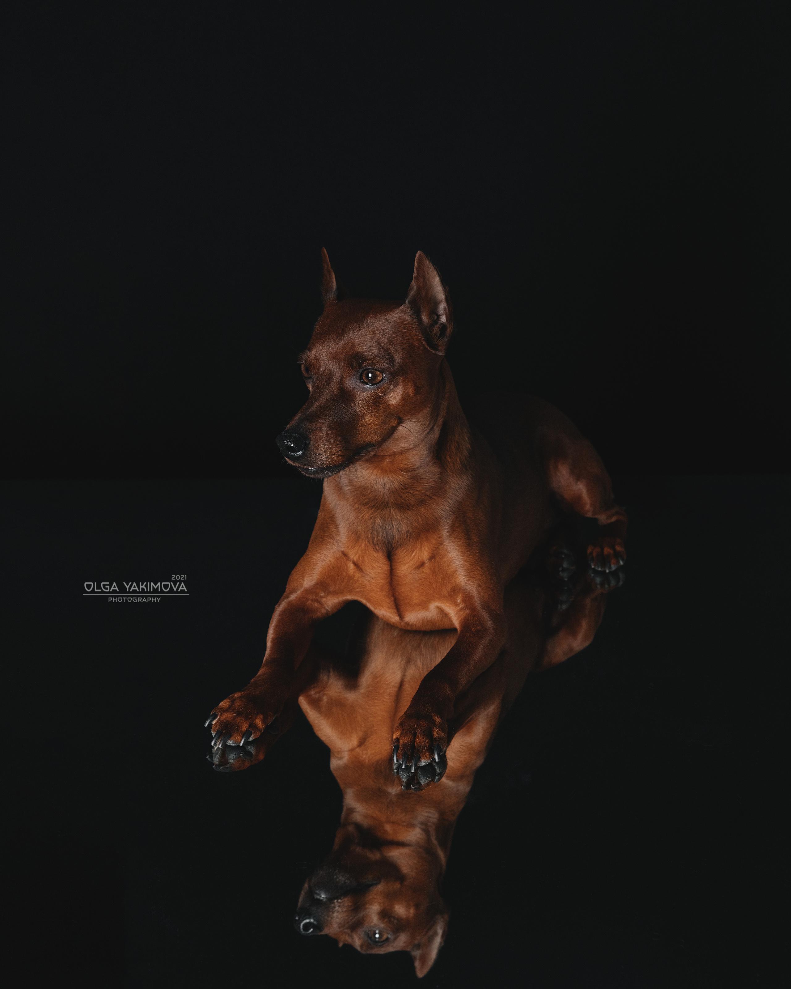 Экстерьер. Фотограф