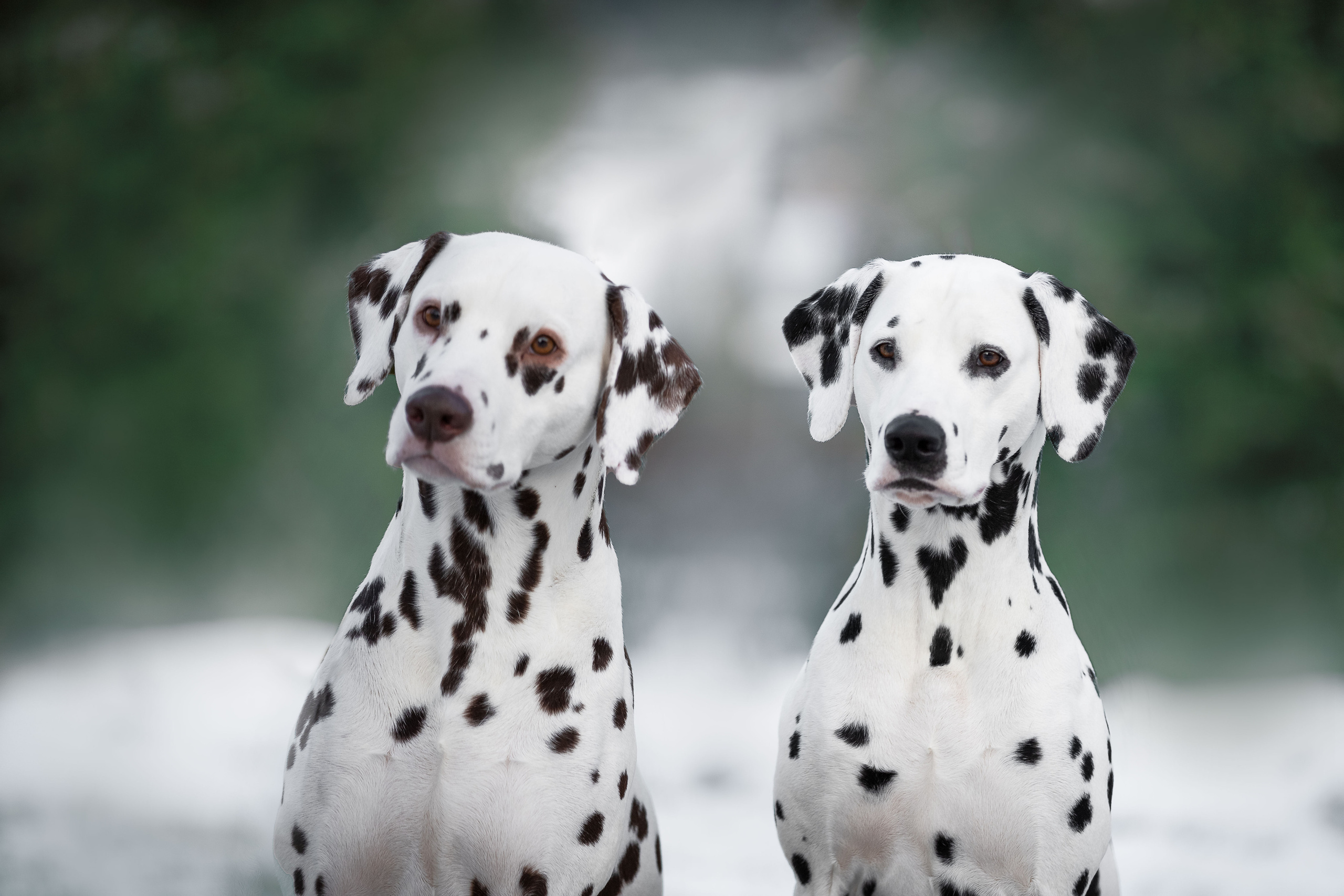 Экстерьер. Фотограф