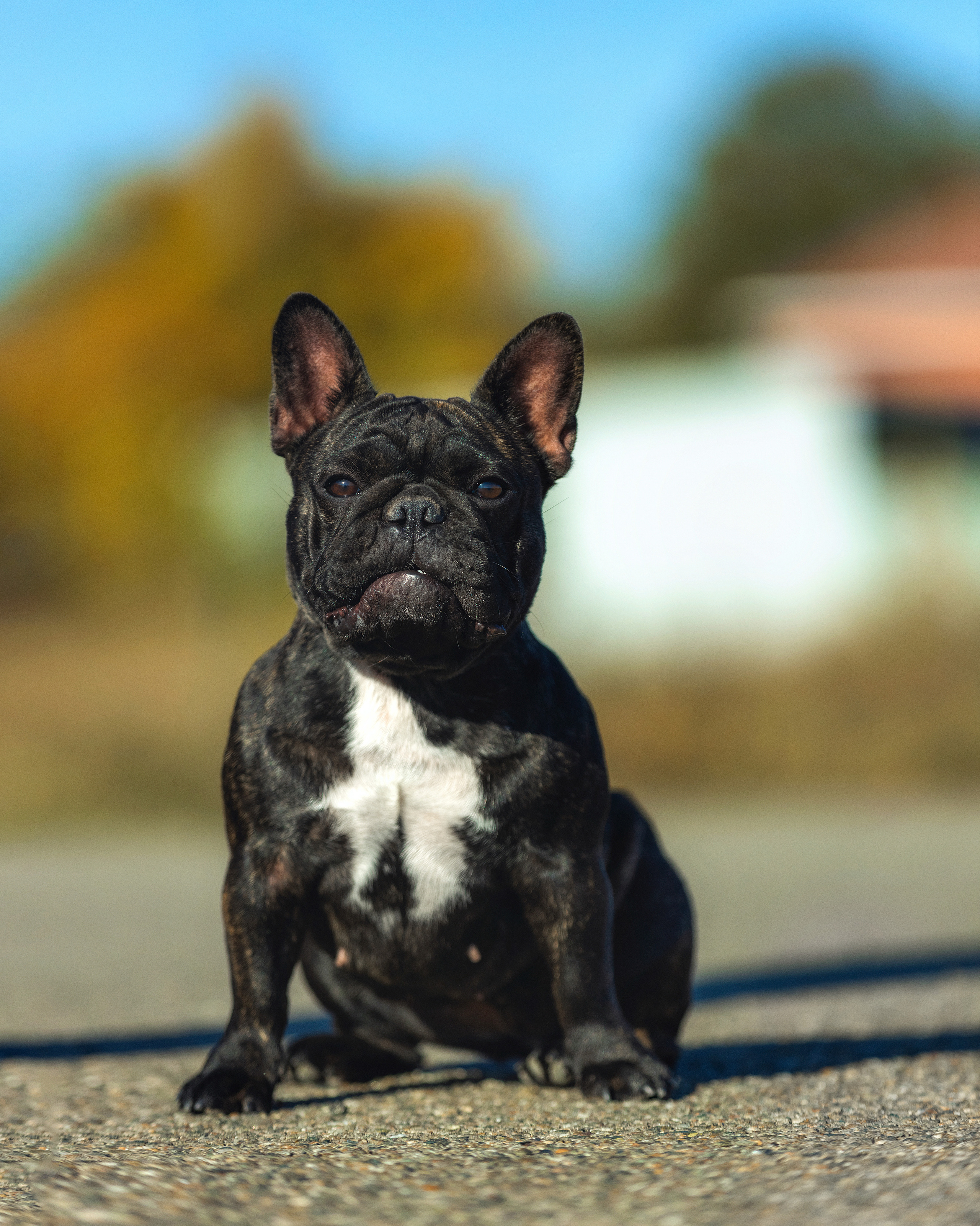 Экстерьер. Фотограф