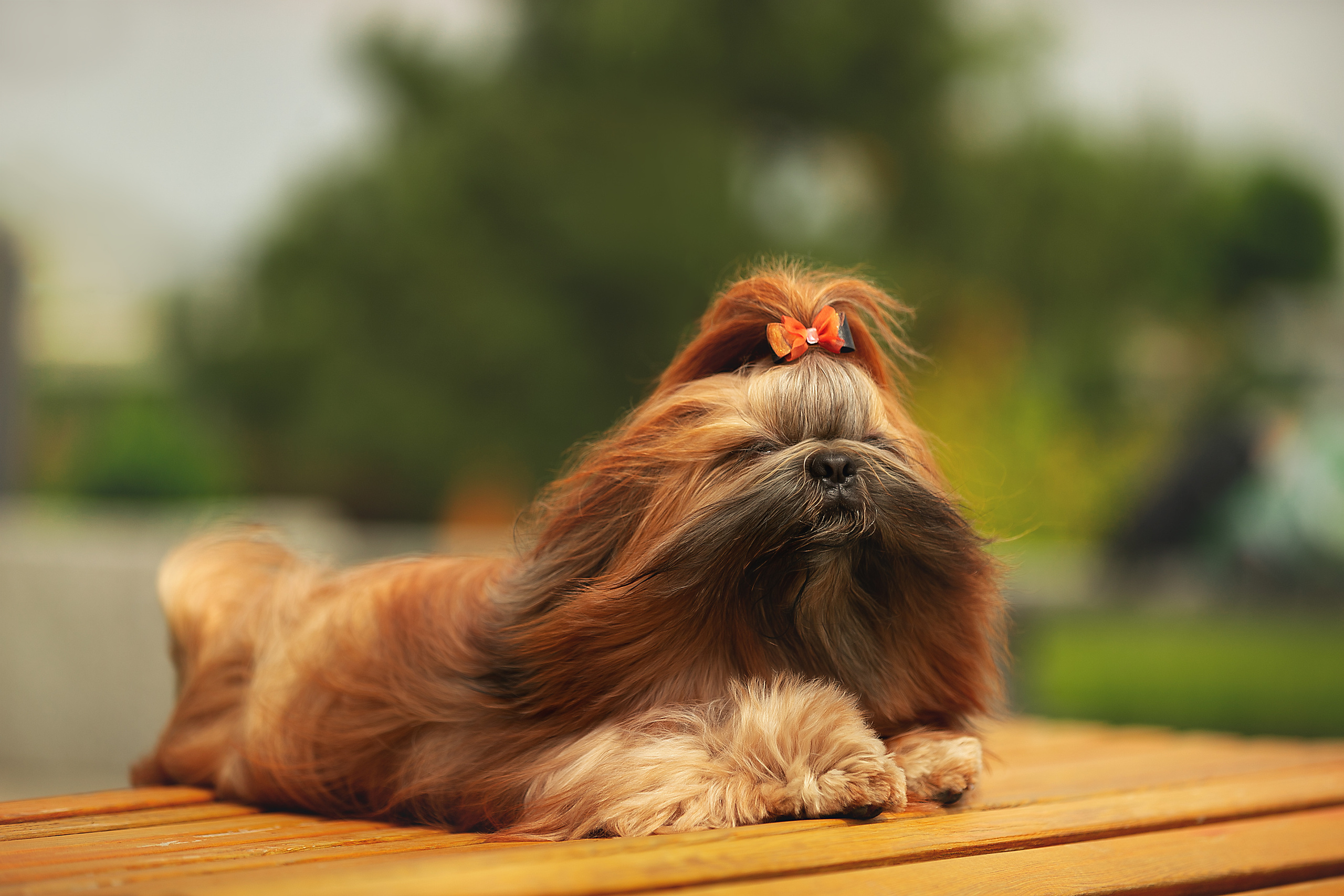 Экстерьер. Фотограф