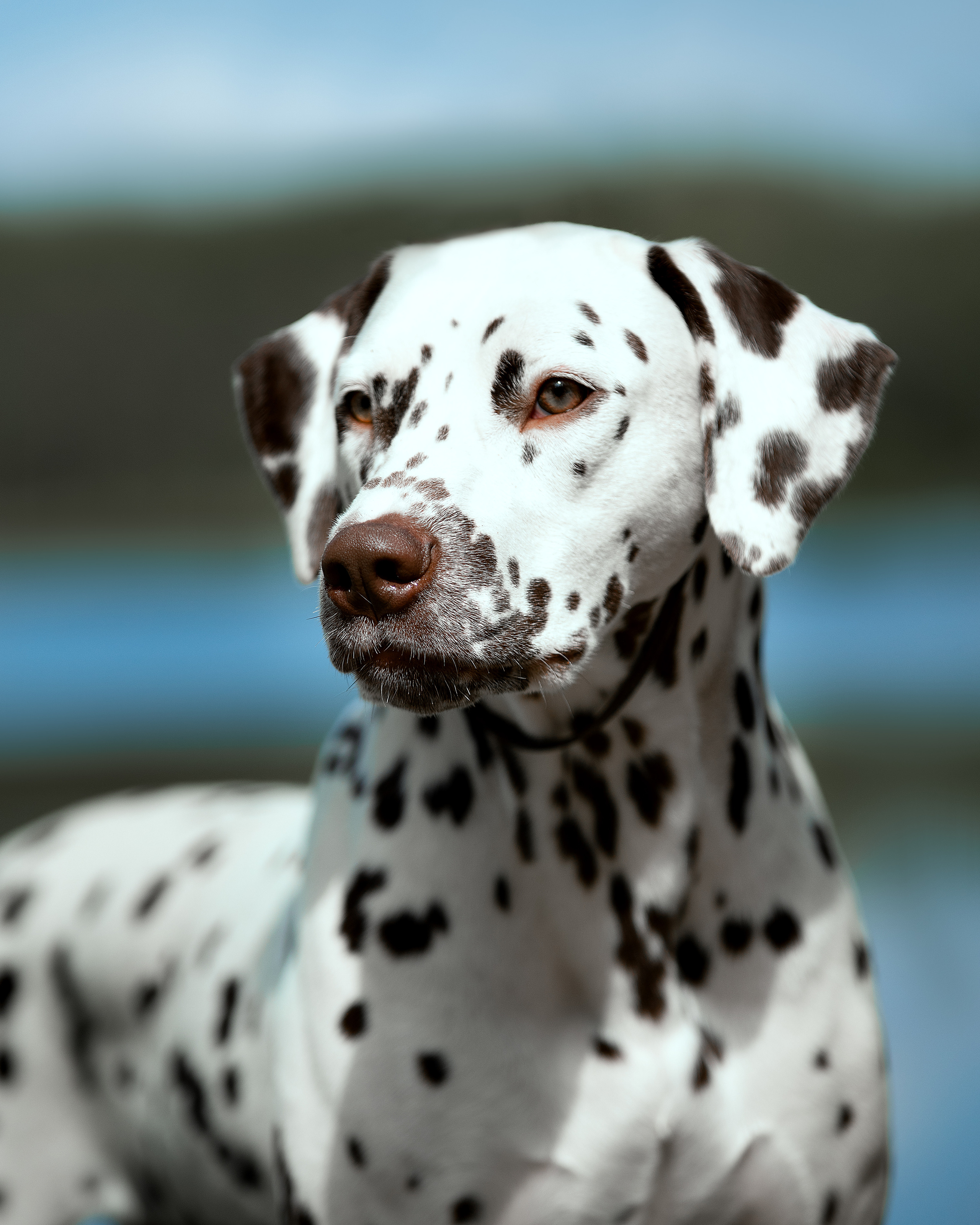 Экстерьер. Фотограф