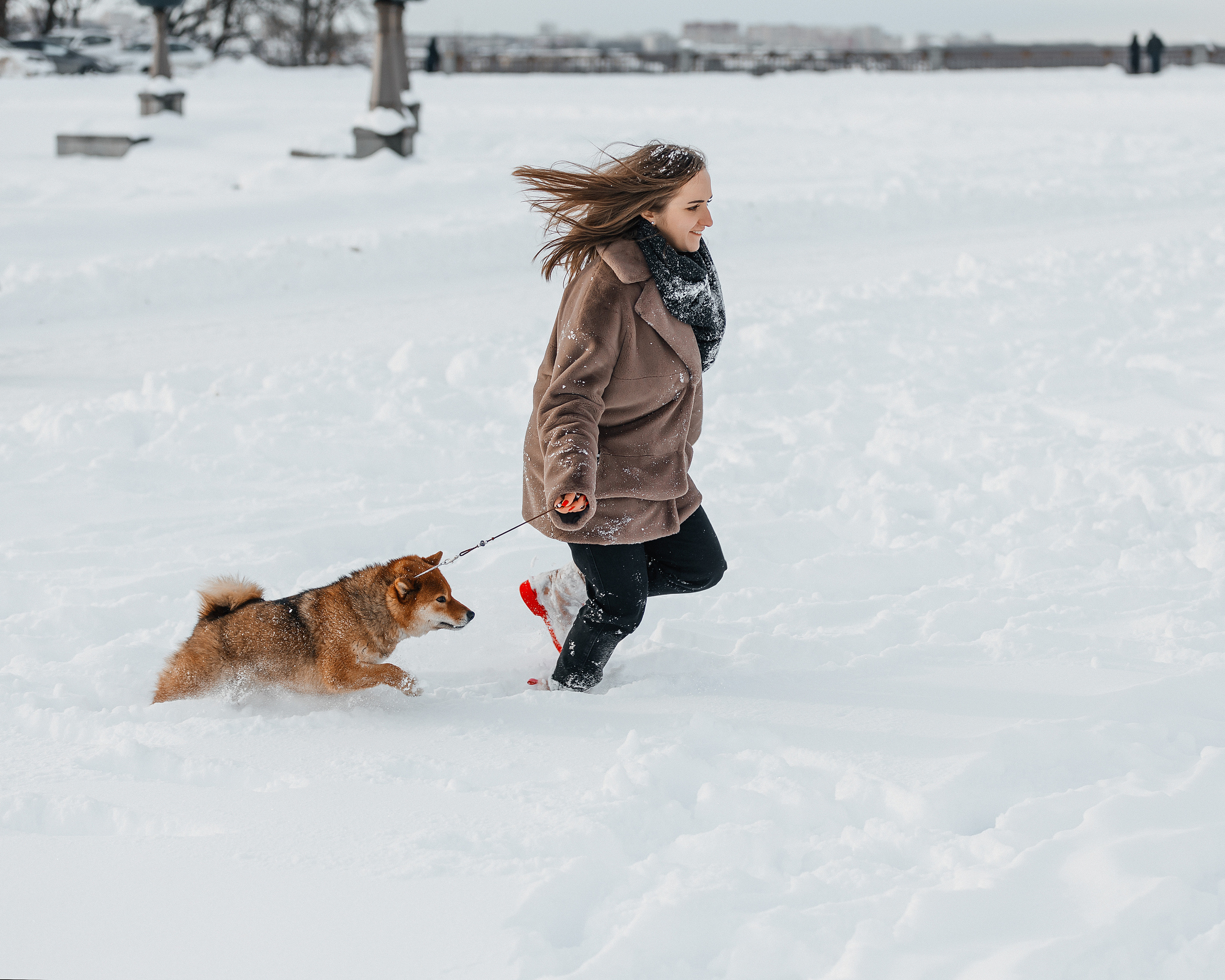 Сиба. Фотограф
