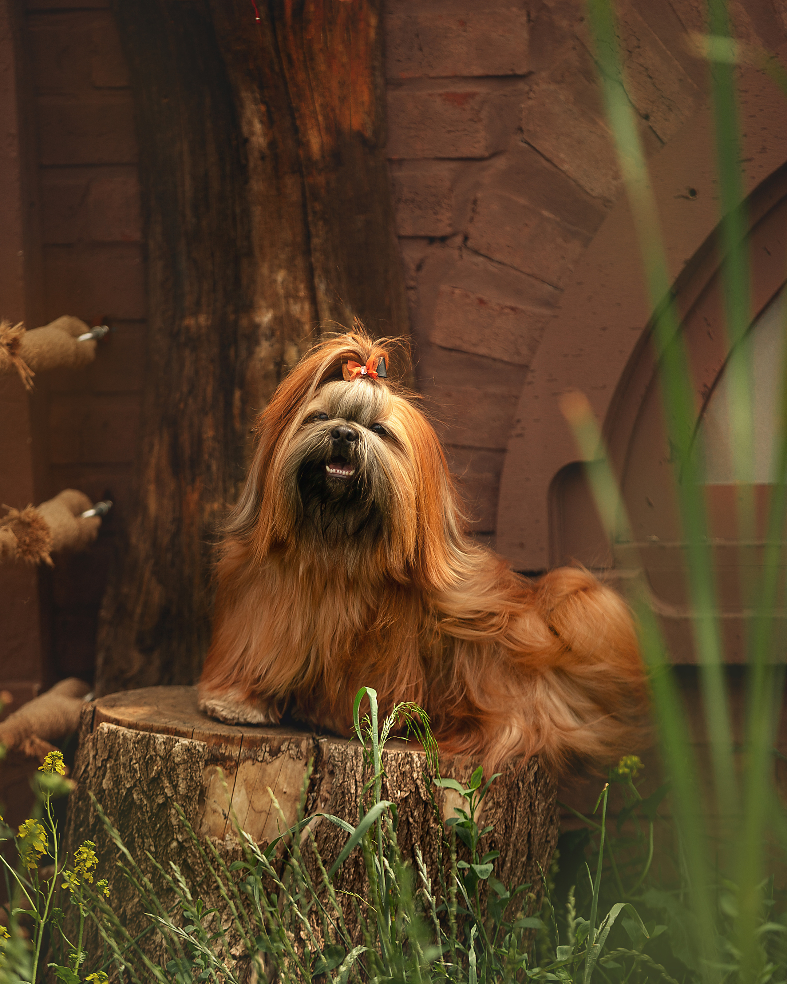 Экстерьер. Фотограф