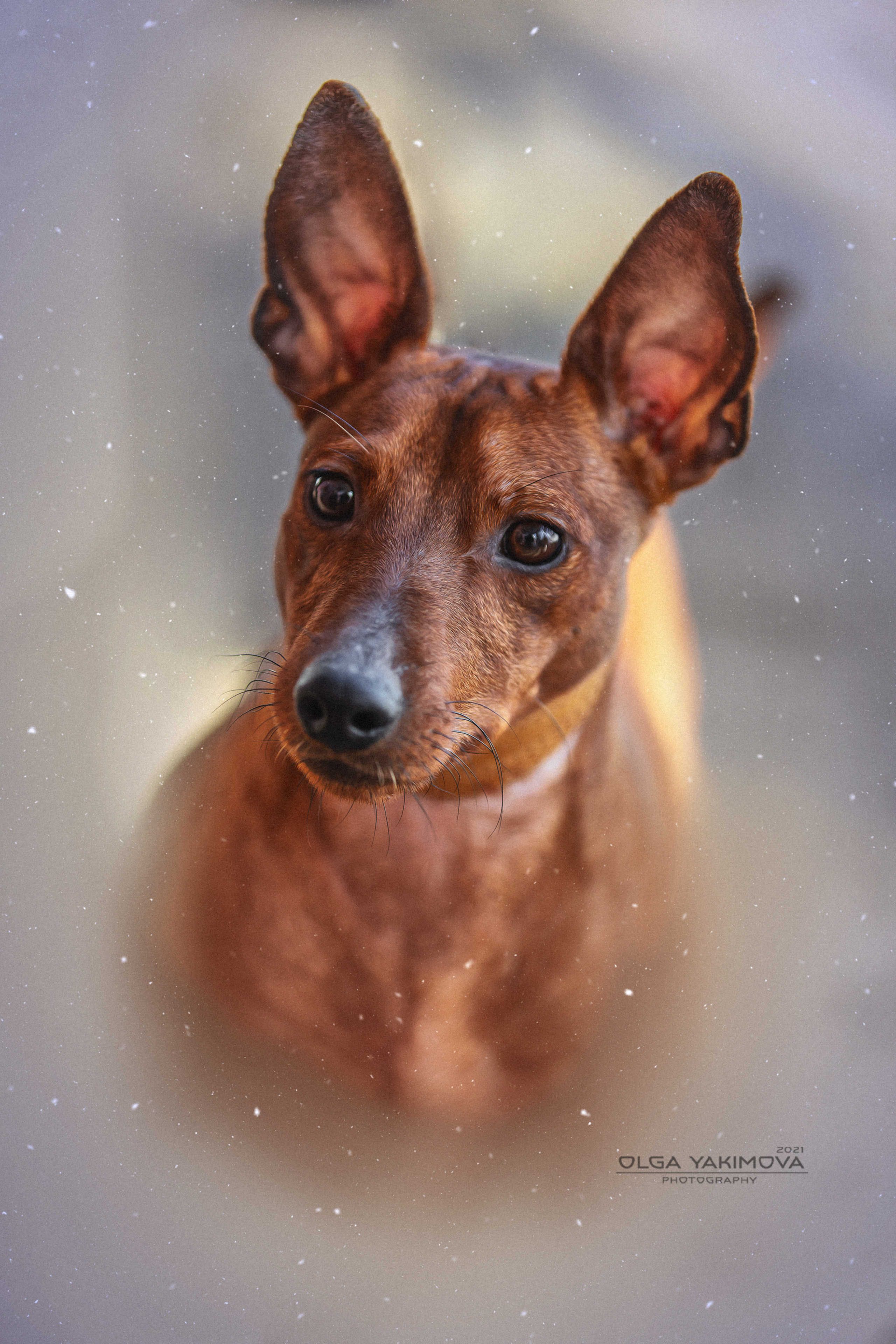 Экстерьер. Фотограф