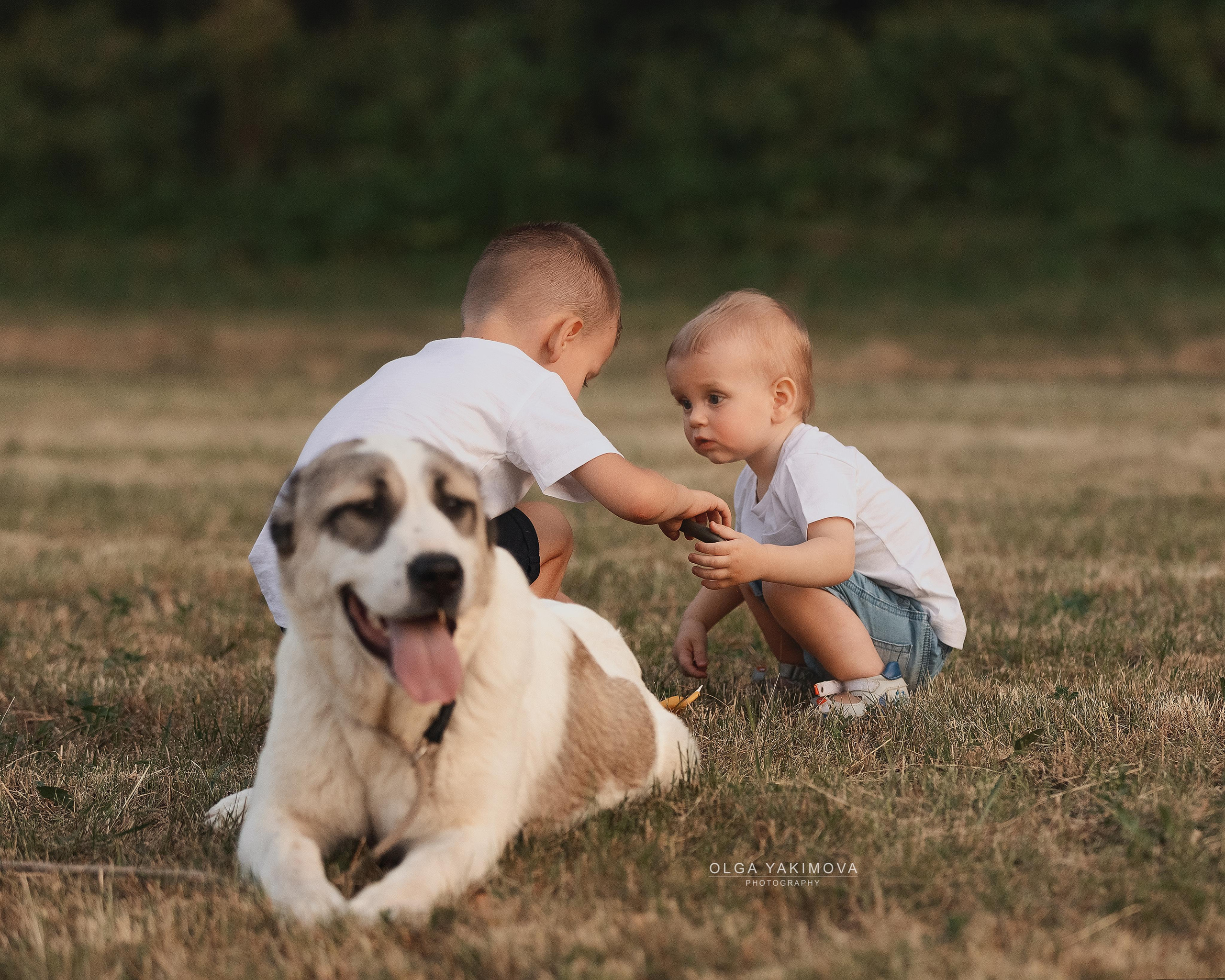 Ребенок. Фотограф