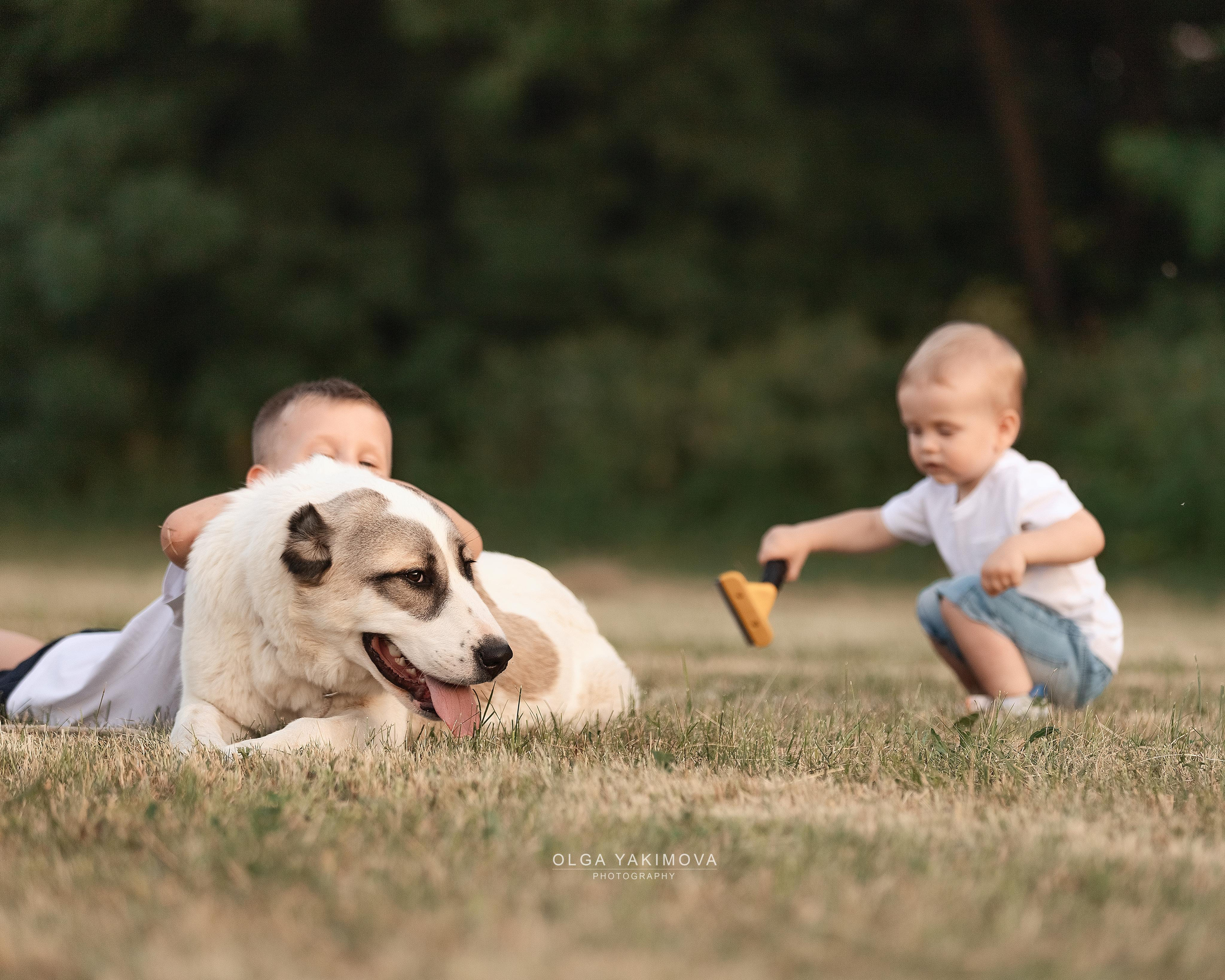 Ребенок. Фотограф