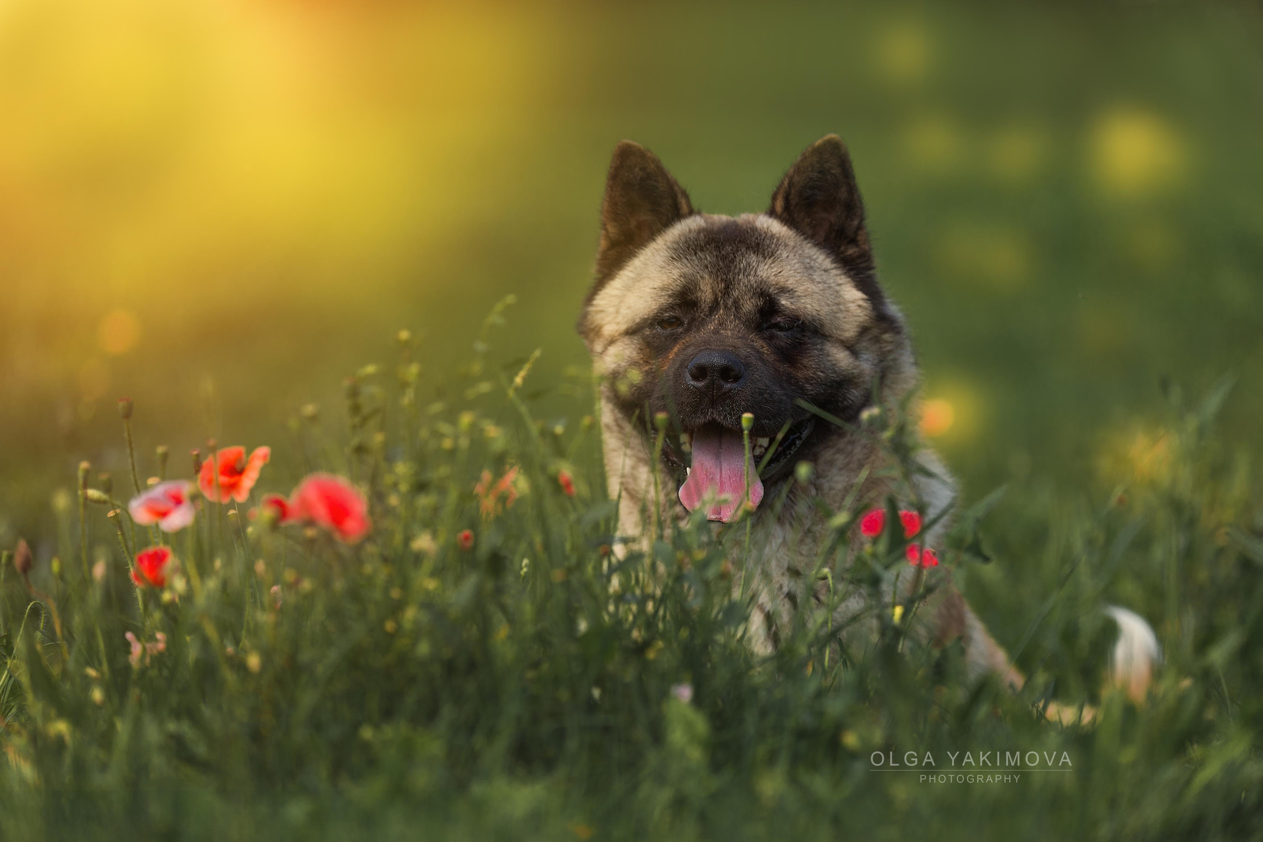 Экстерьер. Фотограф