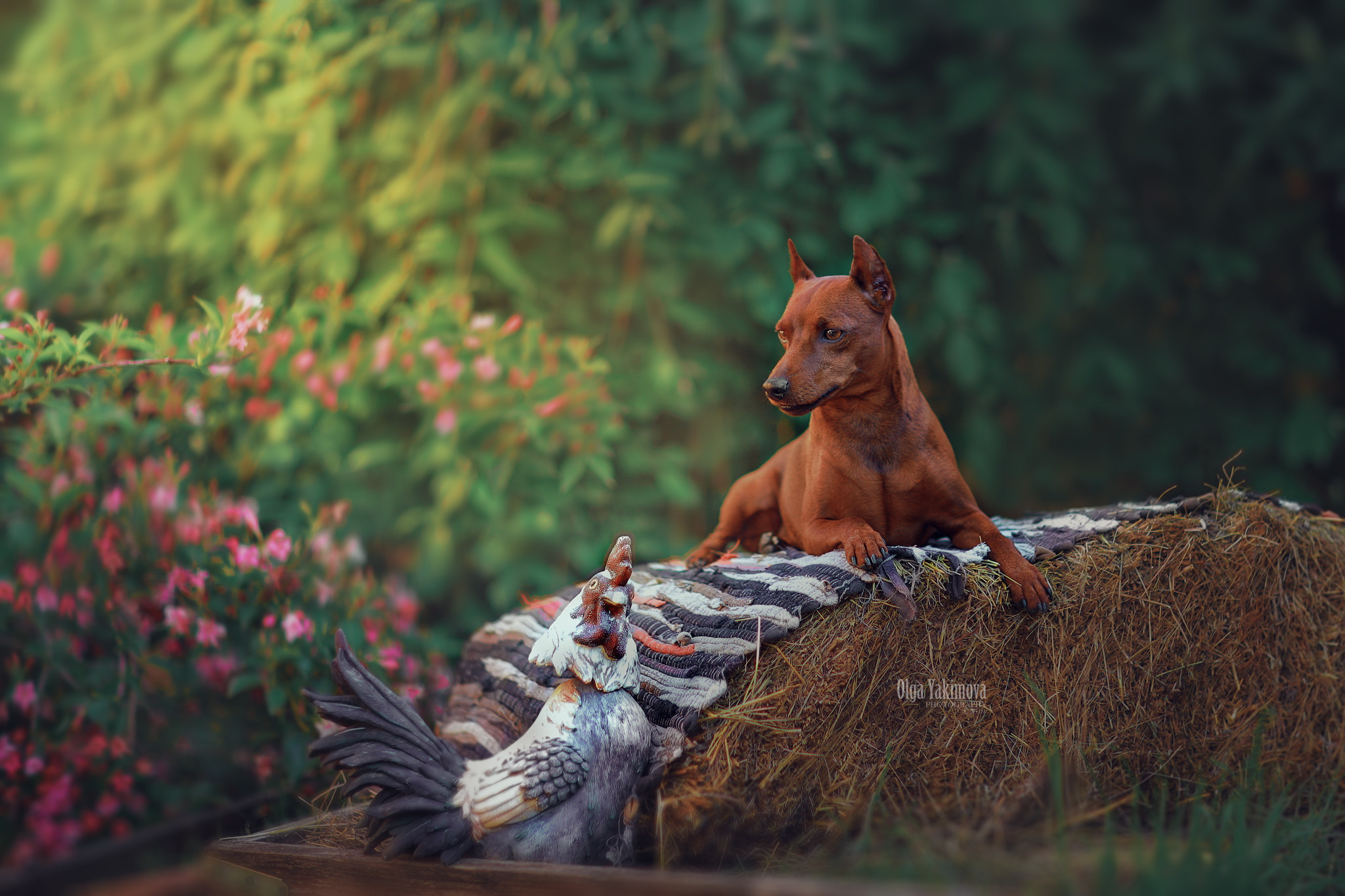 Экстерьер. Фотограф