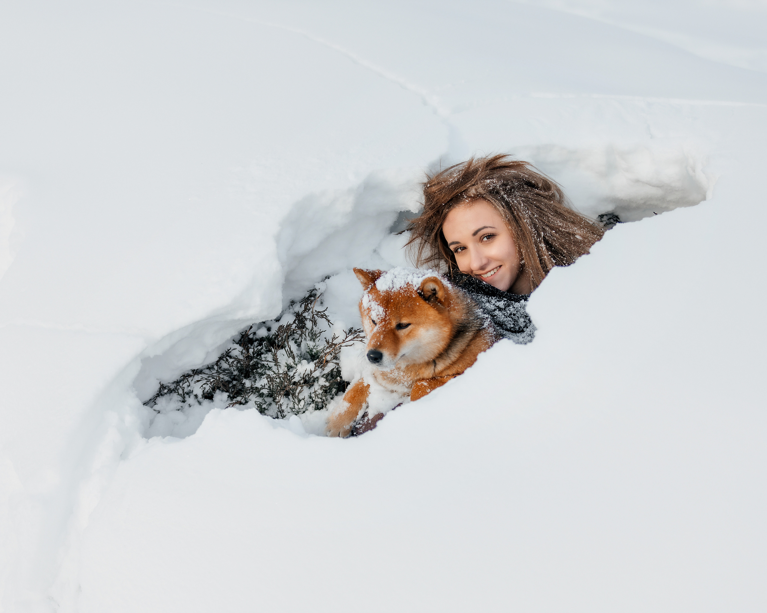 Сиба. Фотограф