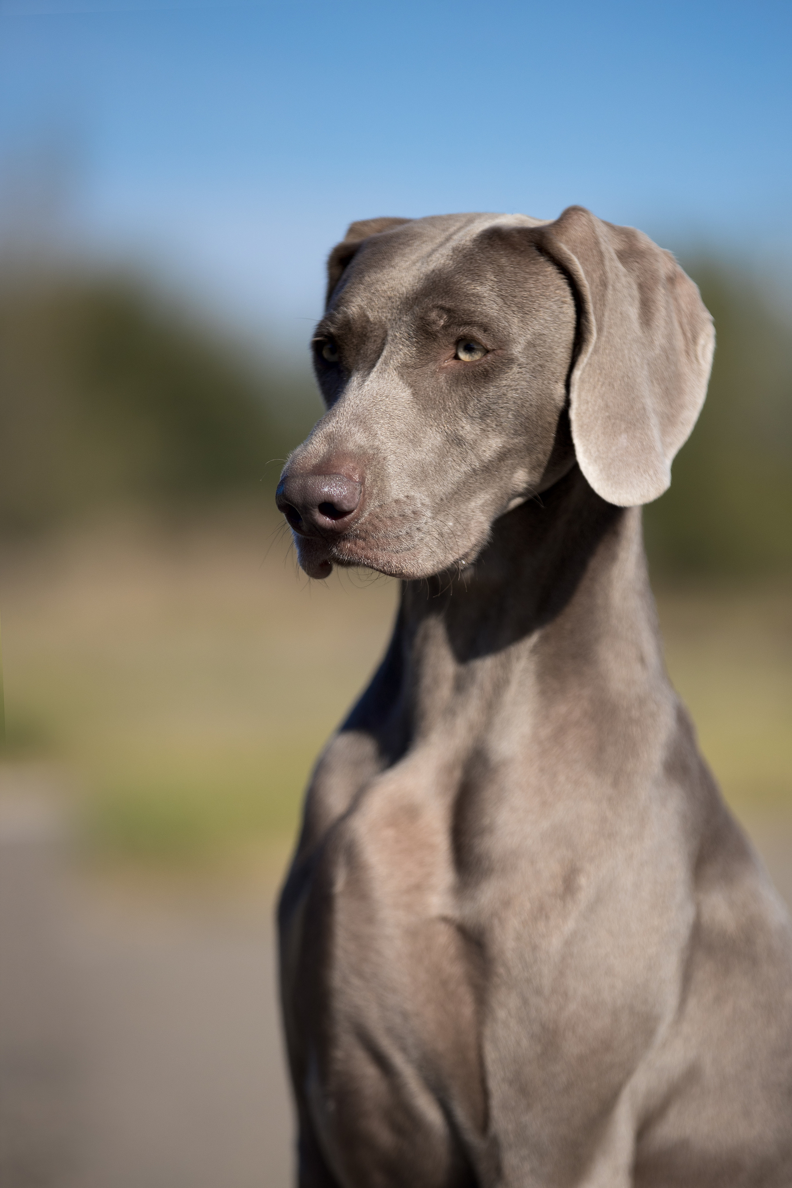 Экстерьер. Фотограф