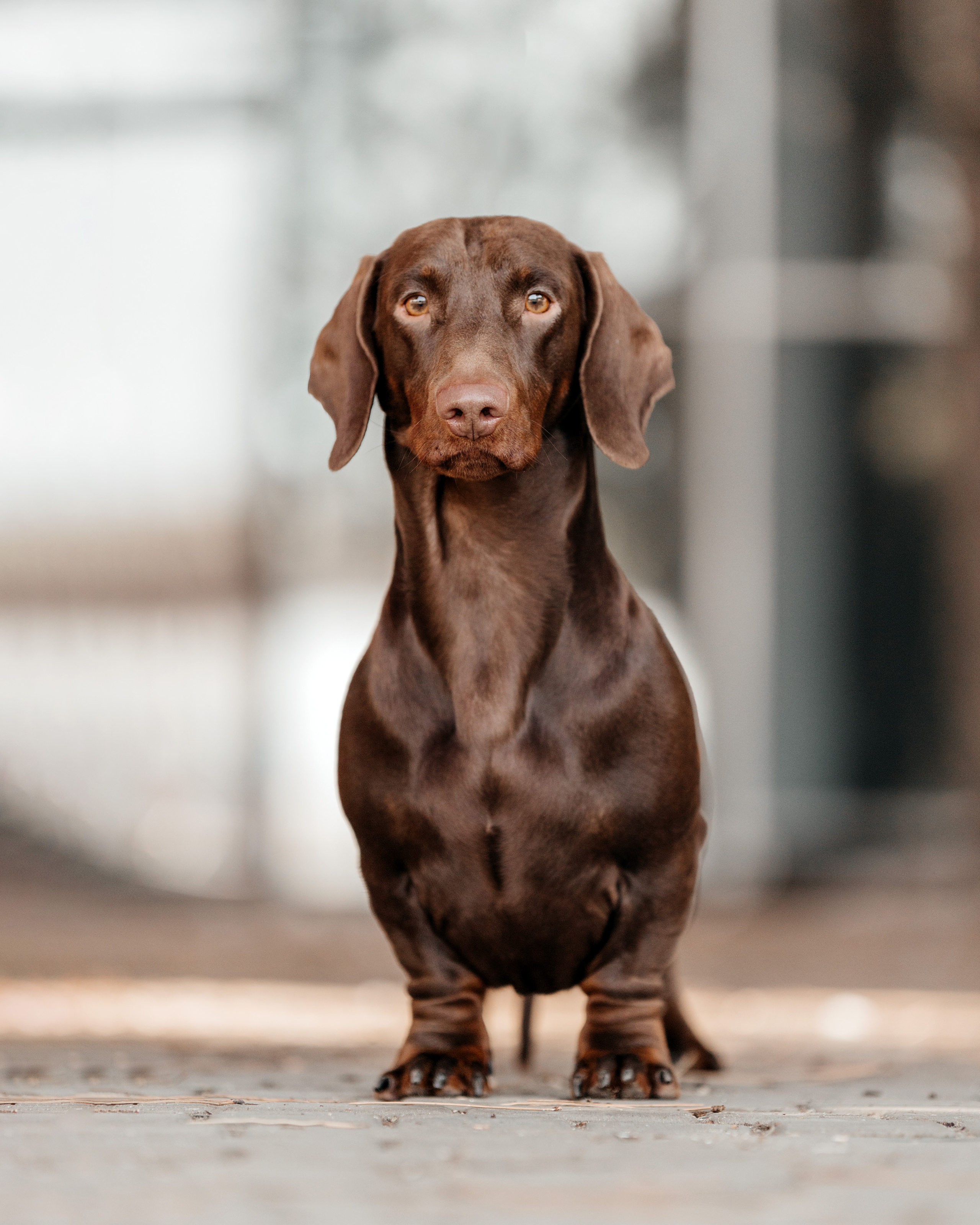 Экстерьер. Фотограф