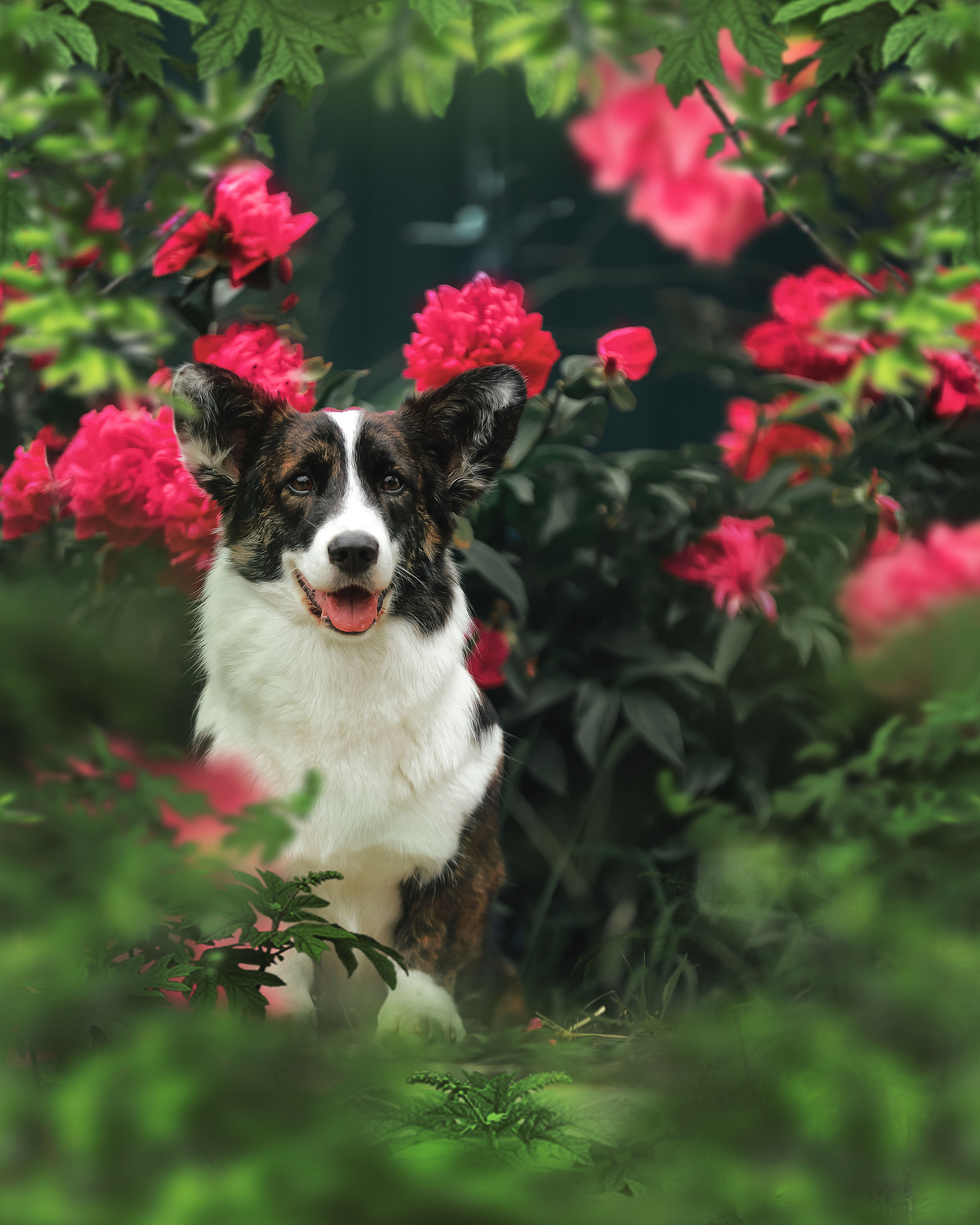 Экстерьер. Фотограф