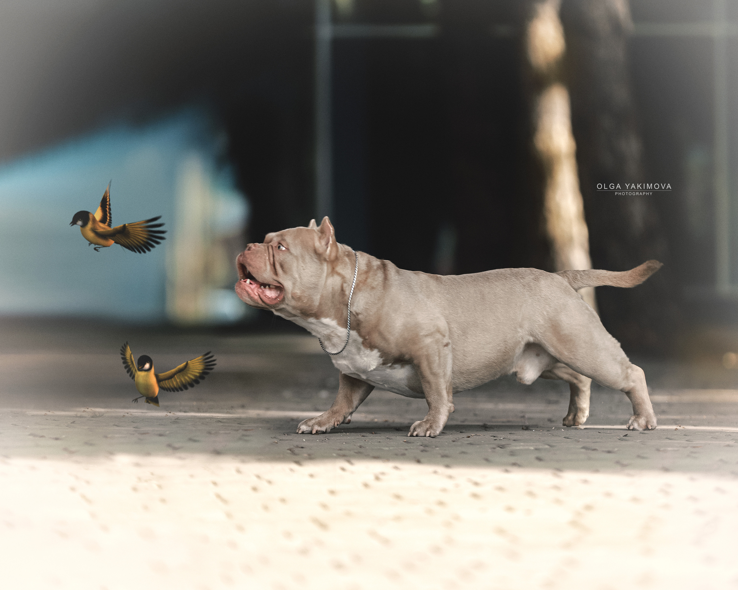 Экстерьер. Фотограф