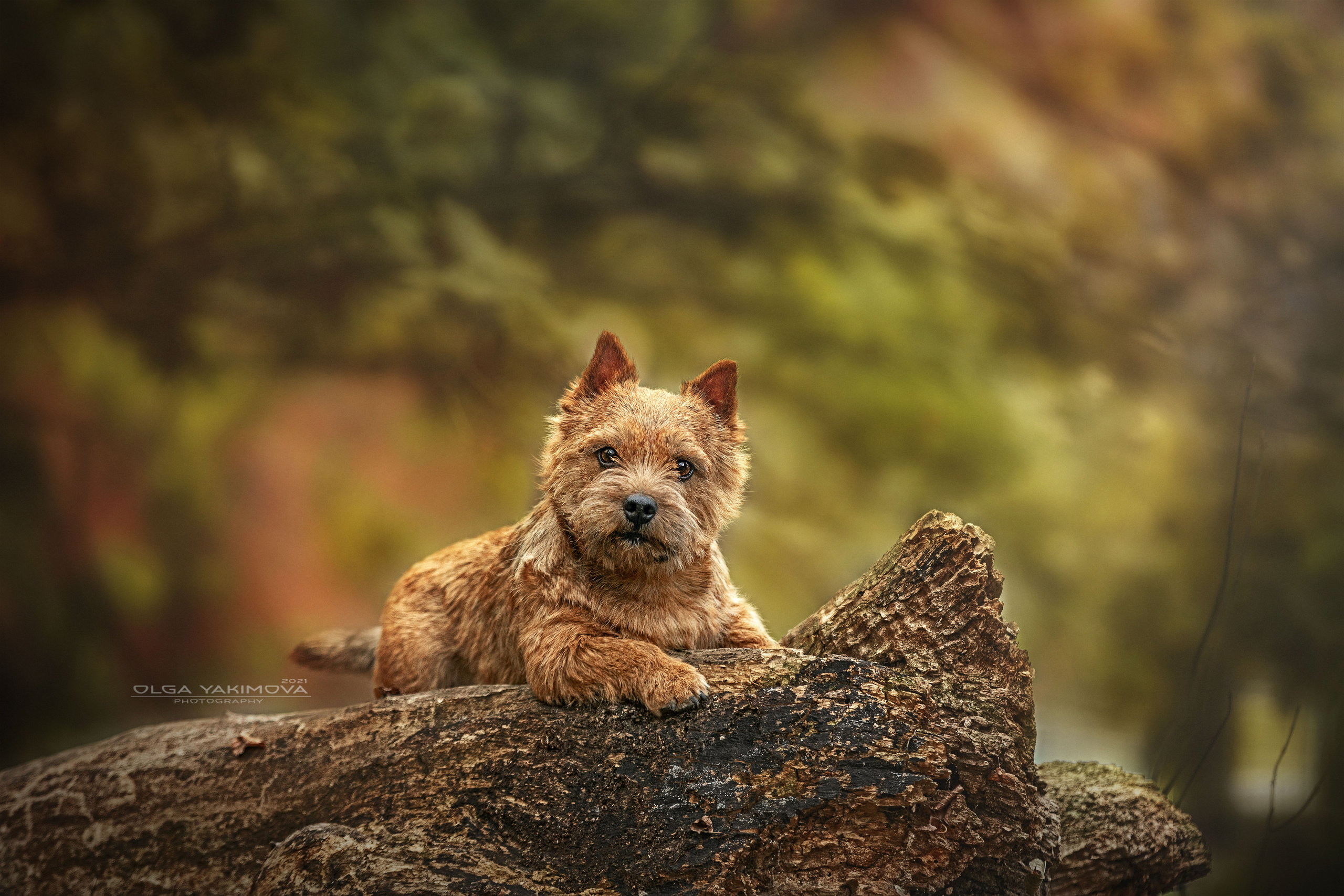 Экстерьер. Фотограф