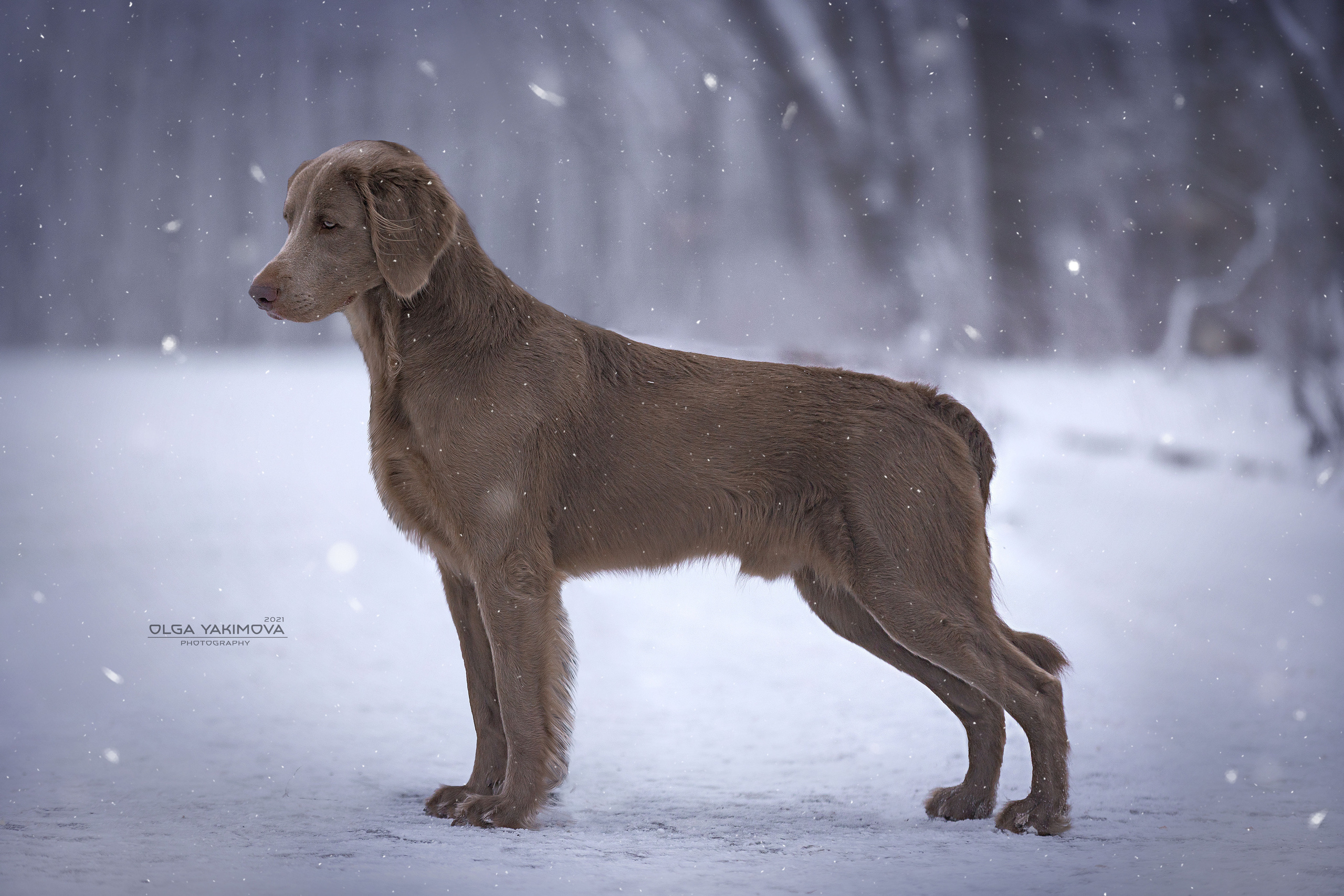 Экстерьер. Фотограф