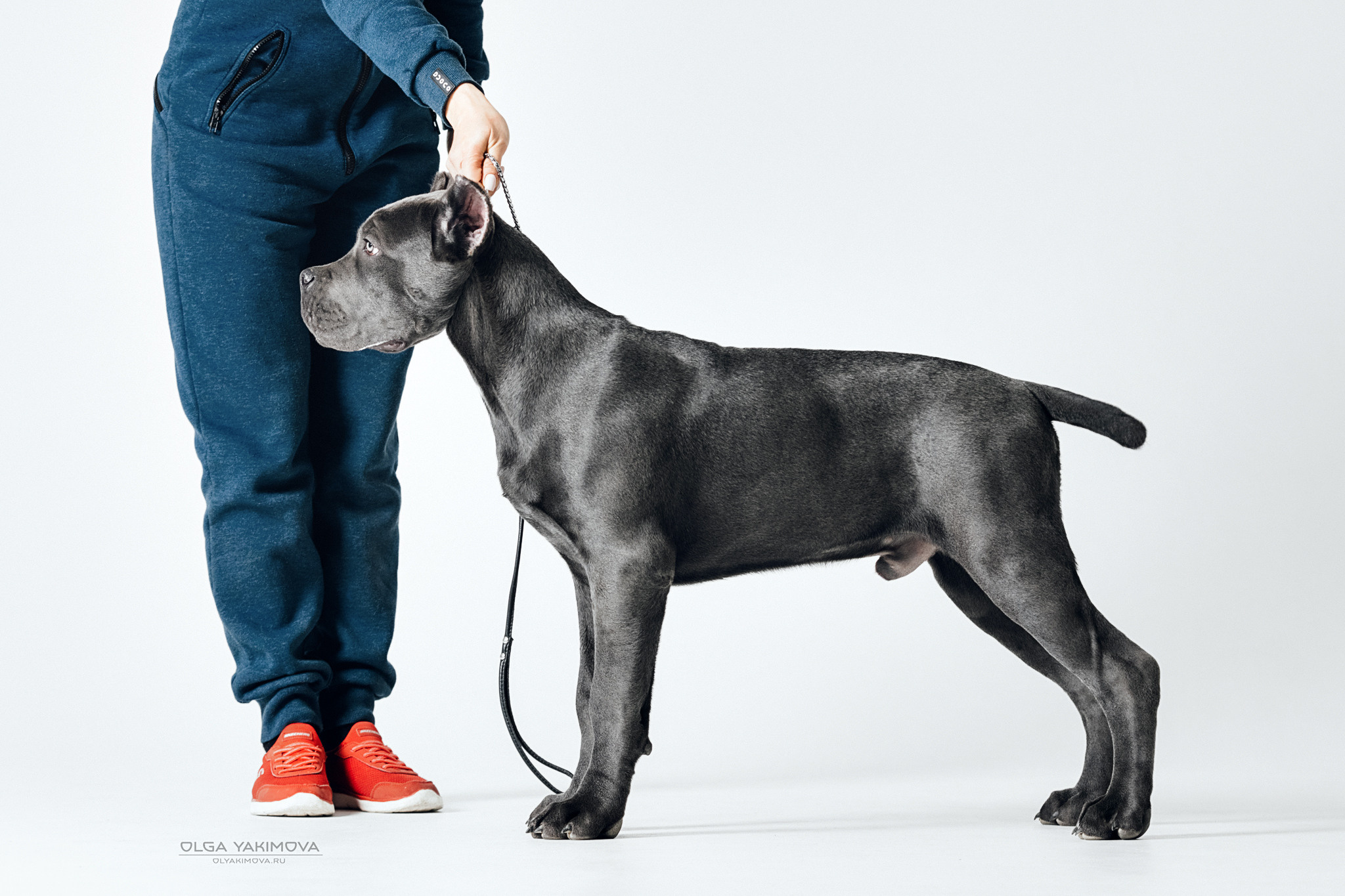 Экстерьер. Фотограф