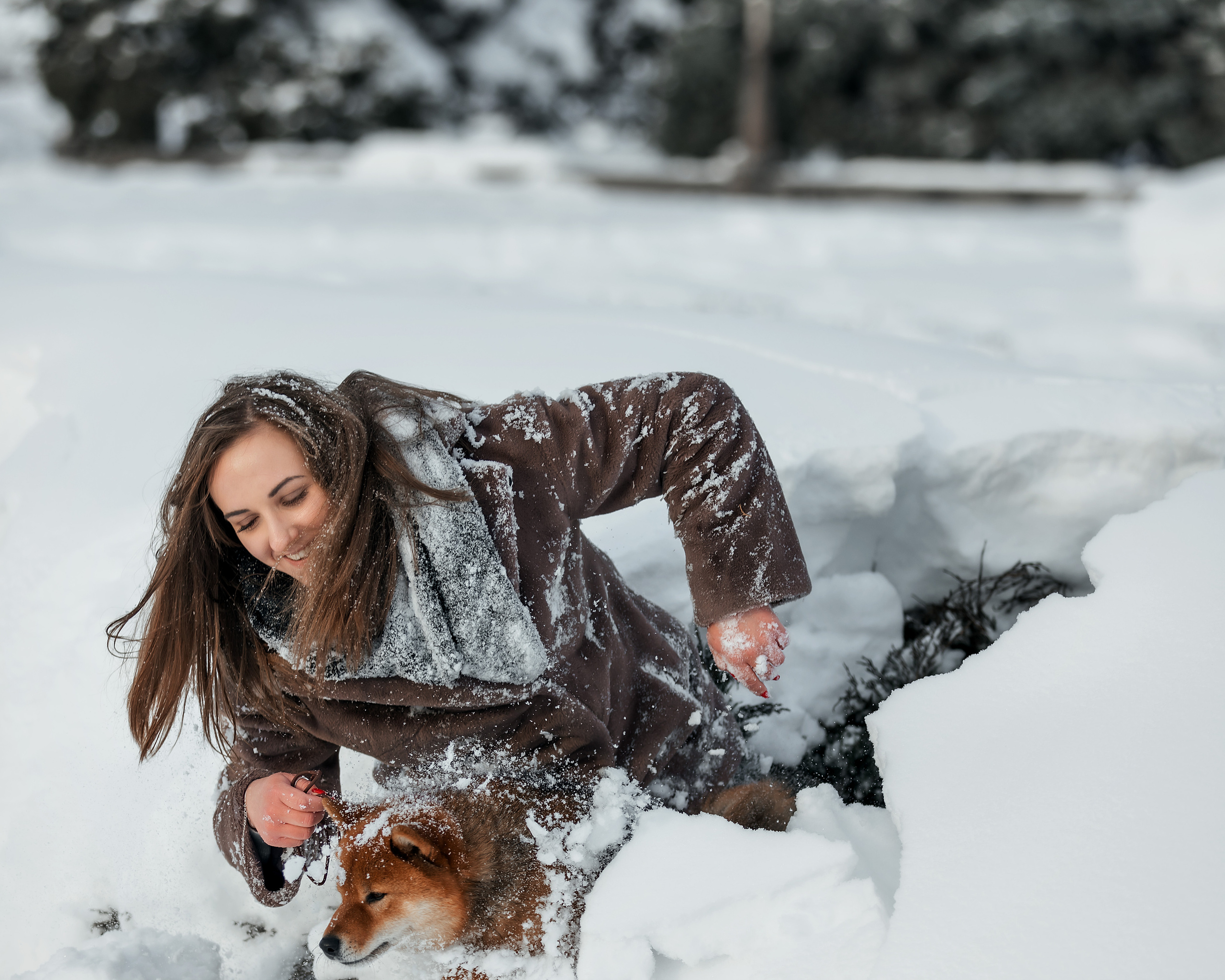 Сиба. Фотограф