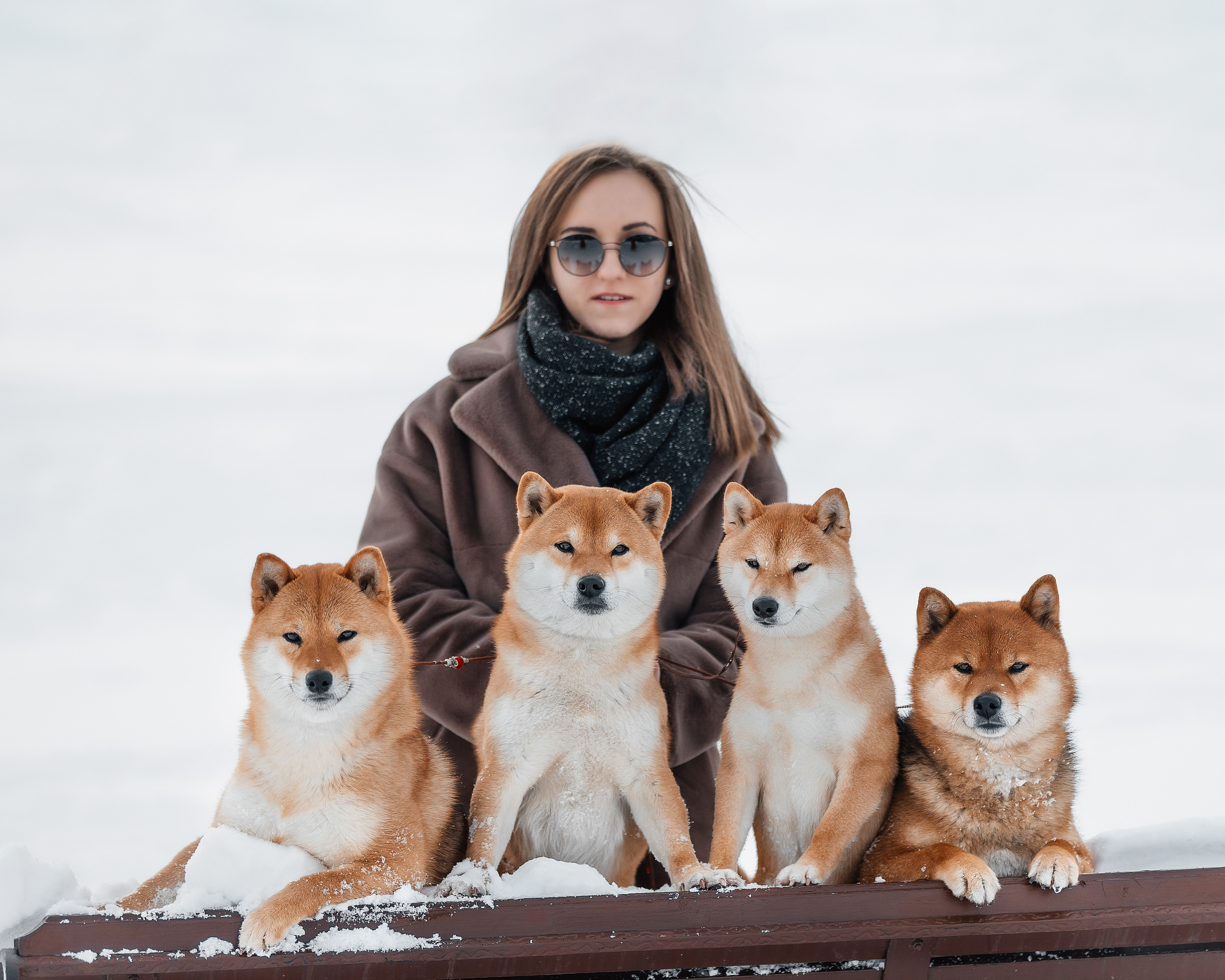 Сиба. Фотограф