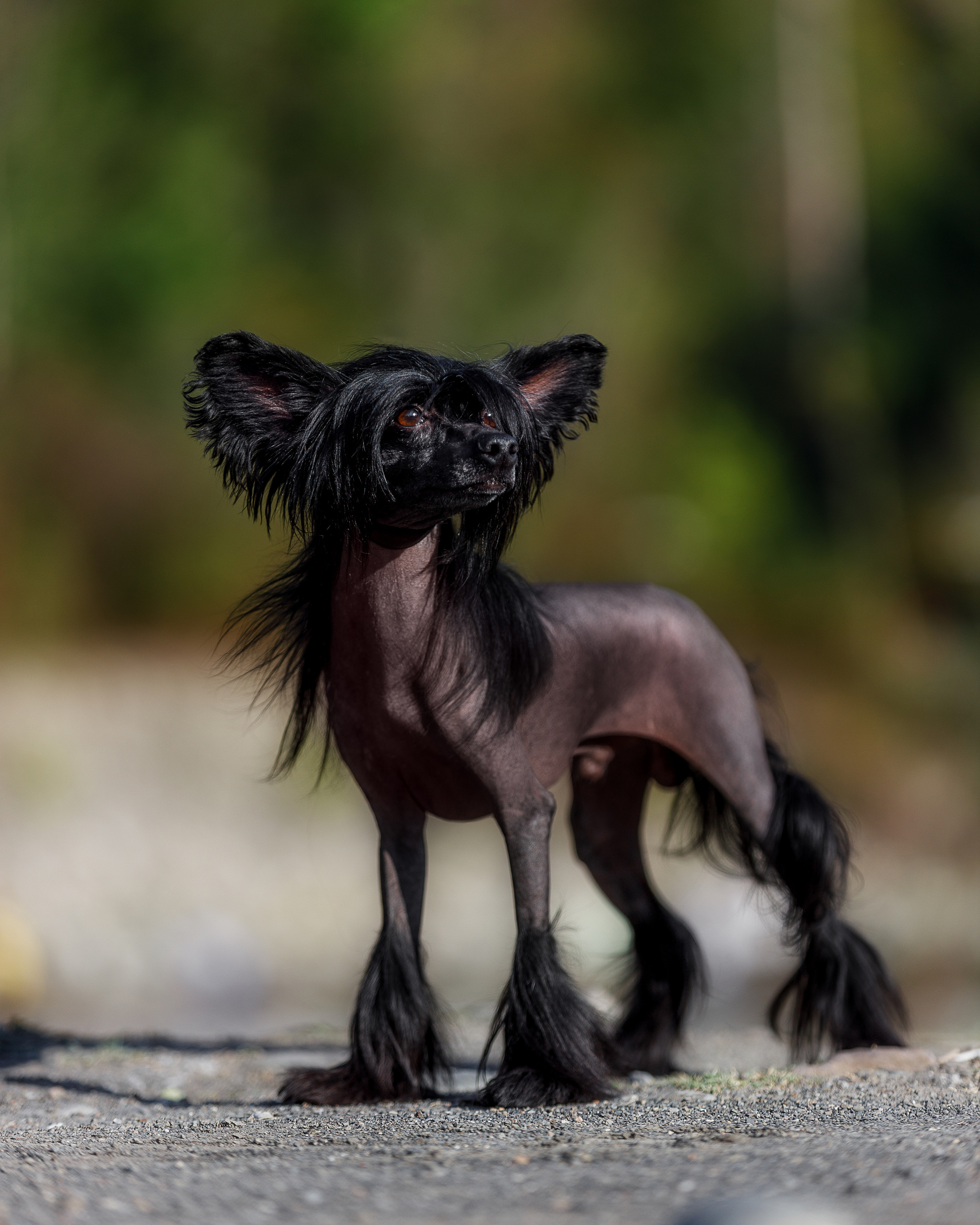 Экстерьер. Фотограф