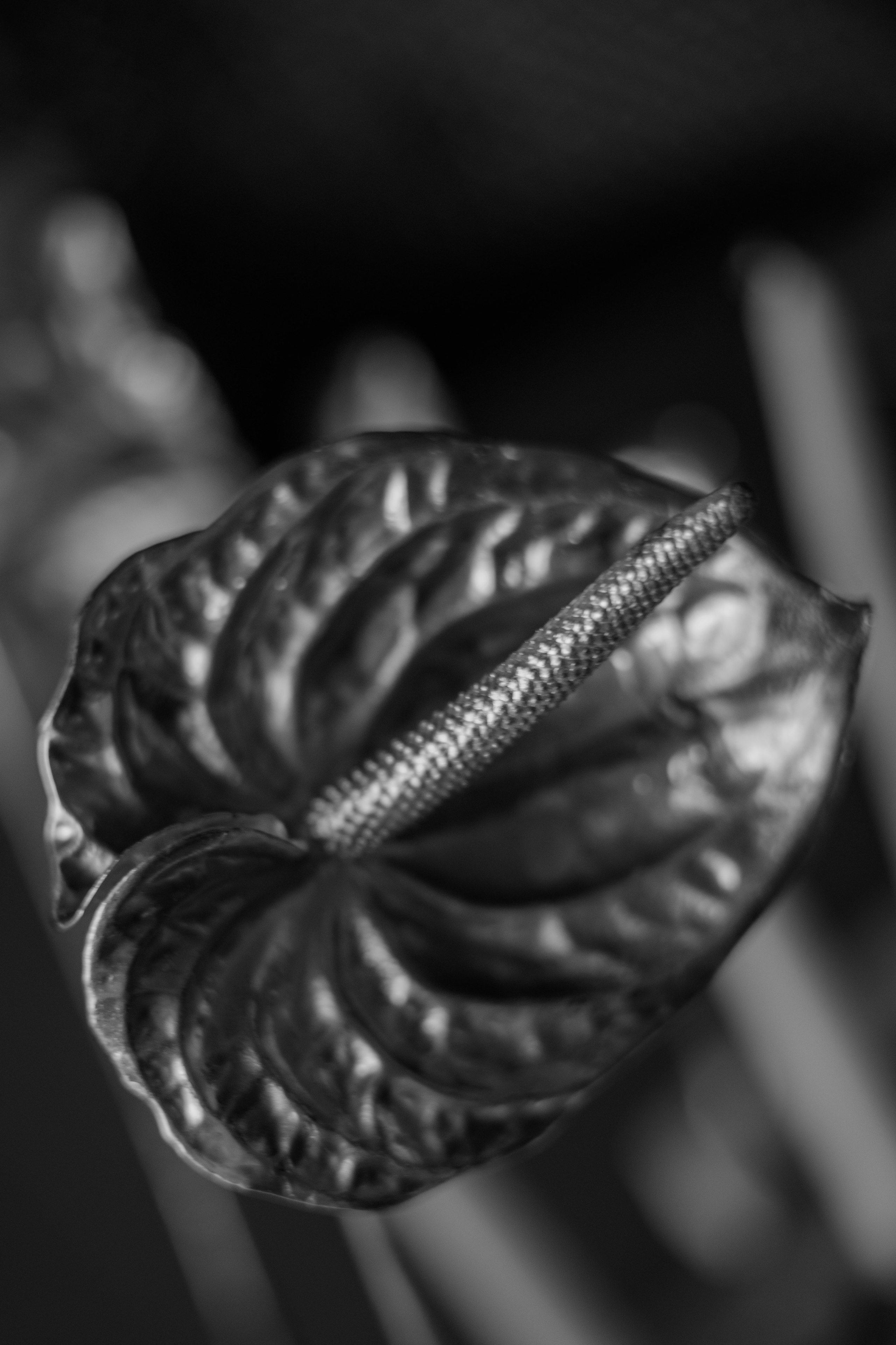 Валерия & Алексей. Оформление свадеб, декор свадеб Вера Маркова, Москва