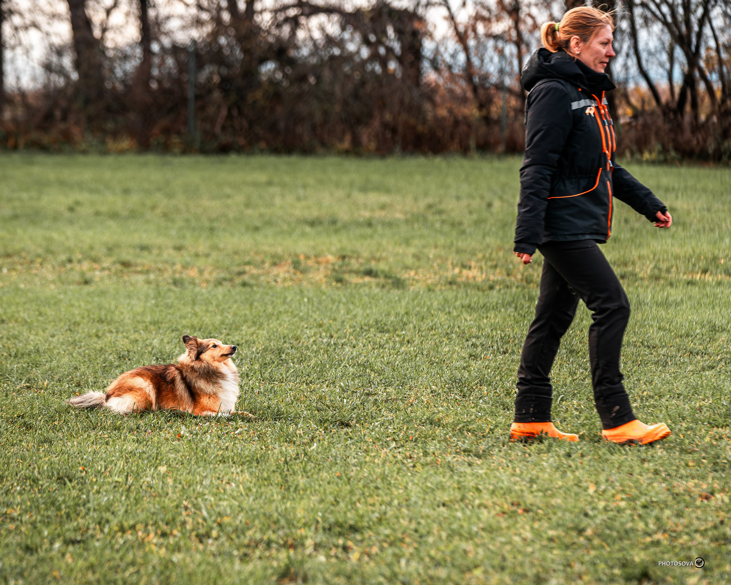 МЫ — КОМАНДА (соревнования) OKD, BH, IBGH, IGP. Фотограф-анималист, семейный фотограф в Москве и Подмосковье. Фотосъёмка кинологических дисциплин
