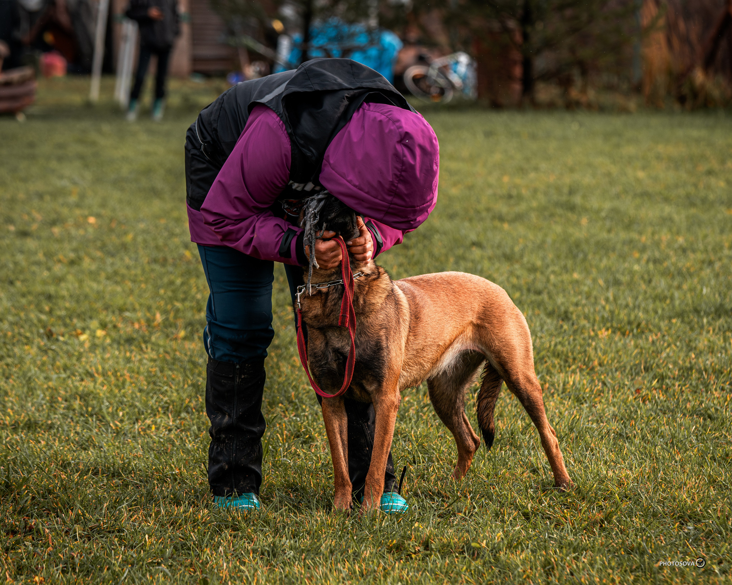 МЫ — КОМАНДА (соревнования) OKD, BH, IBGH, IGP. Фотограф-анималист, семейный фотограф в Москве и Подмосковье. Фотосъёмка кинологических дисциплин