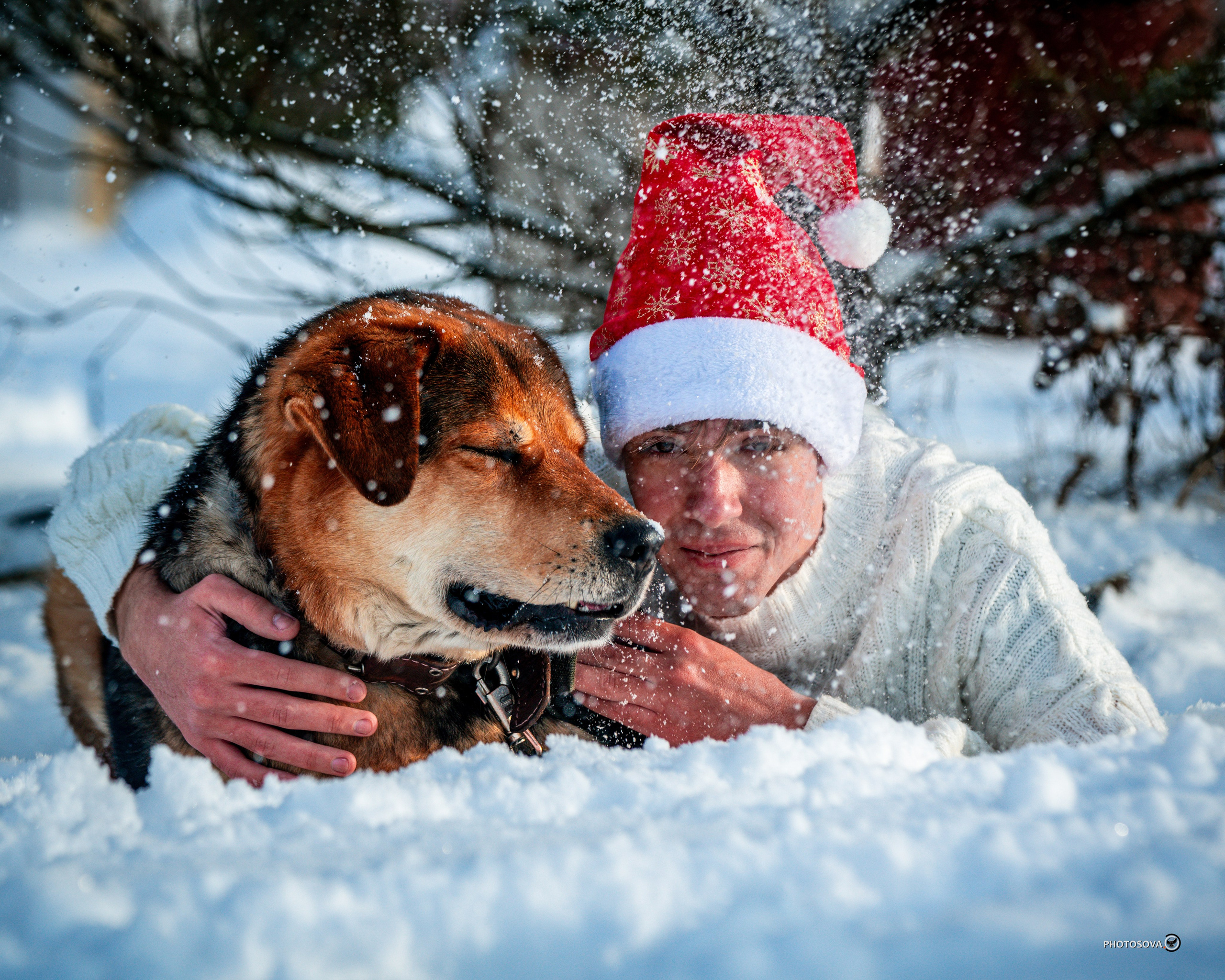ФОТОПАМЯТЬ ВАШИХ ЭМОЦИЙ. Фотограф-анималист, семейный фотограф в Москве и Подмосковье. Фотосъёмка кинологических дисциплин