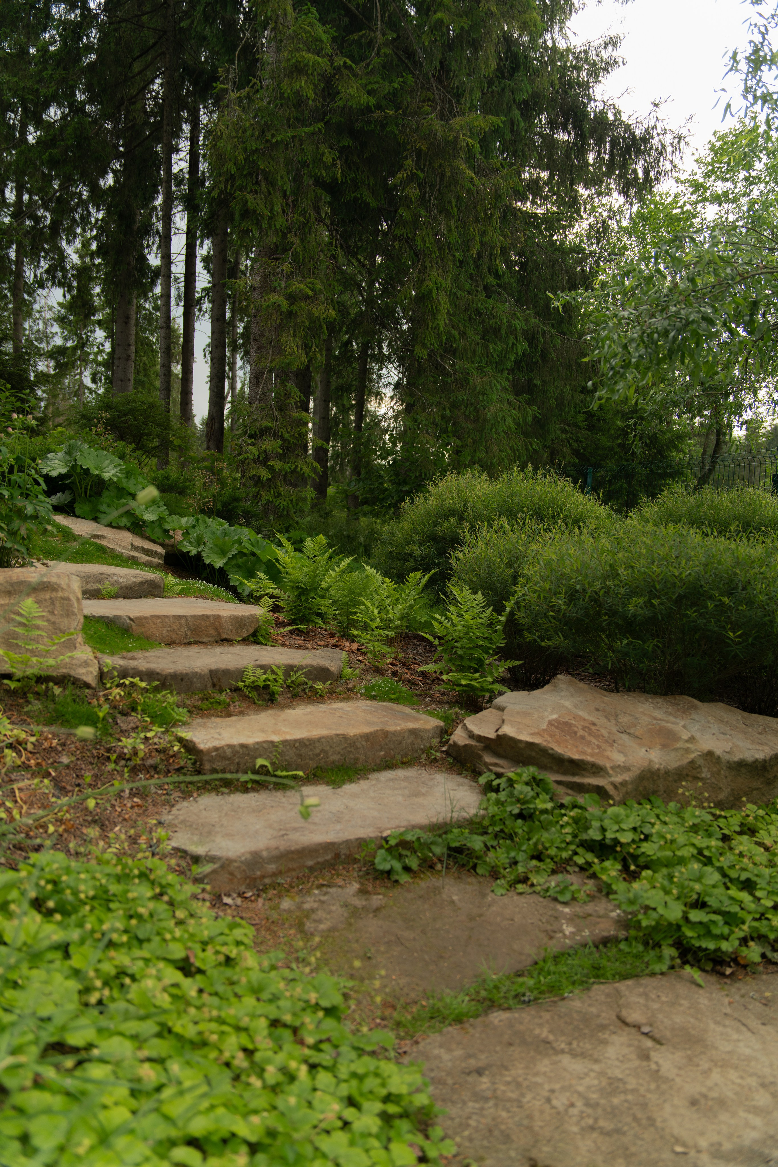 Участок в каральском стиле. Автомобильный фотограф Светлана Усова