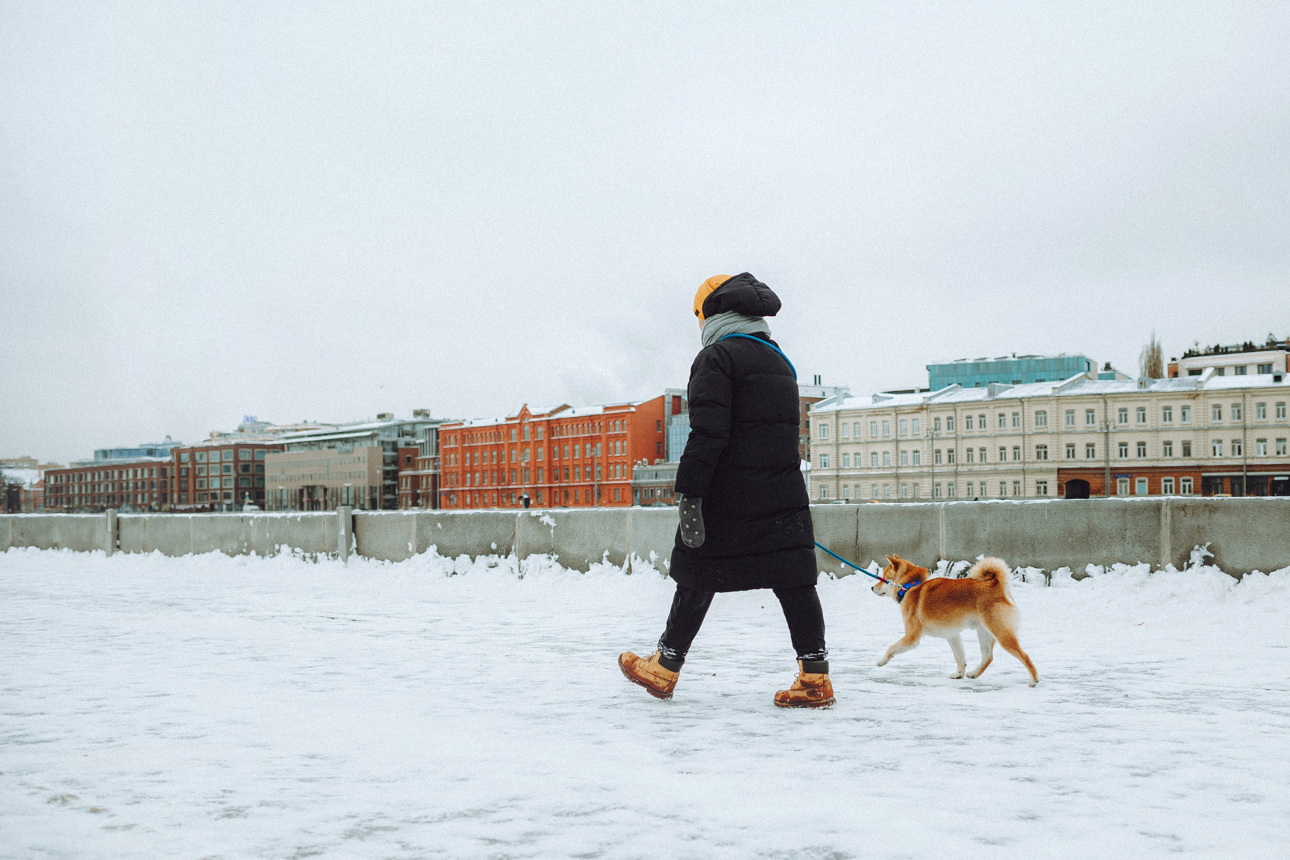Настя и Ронин