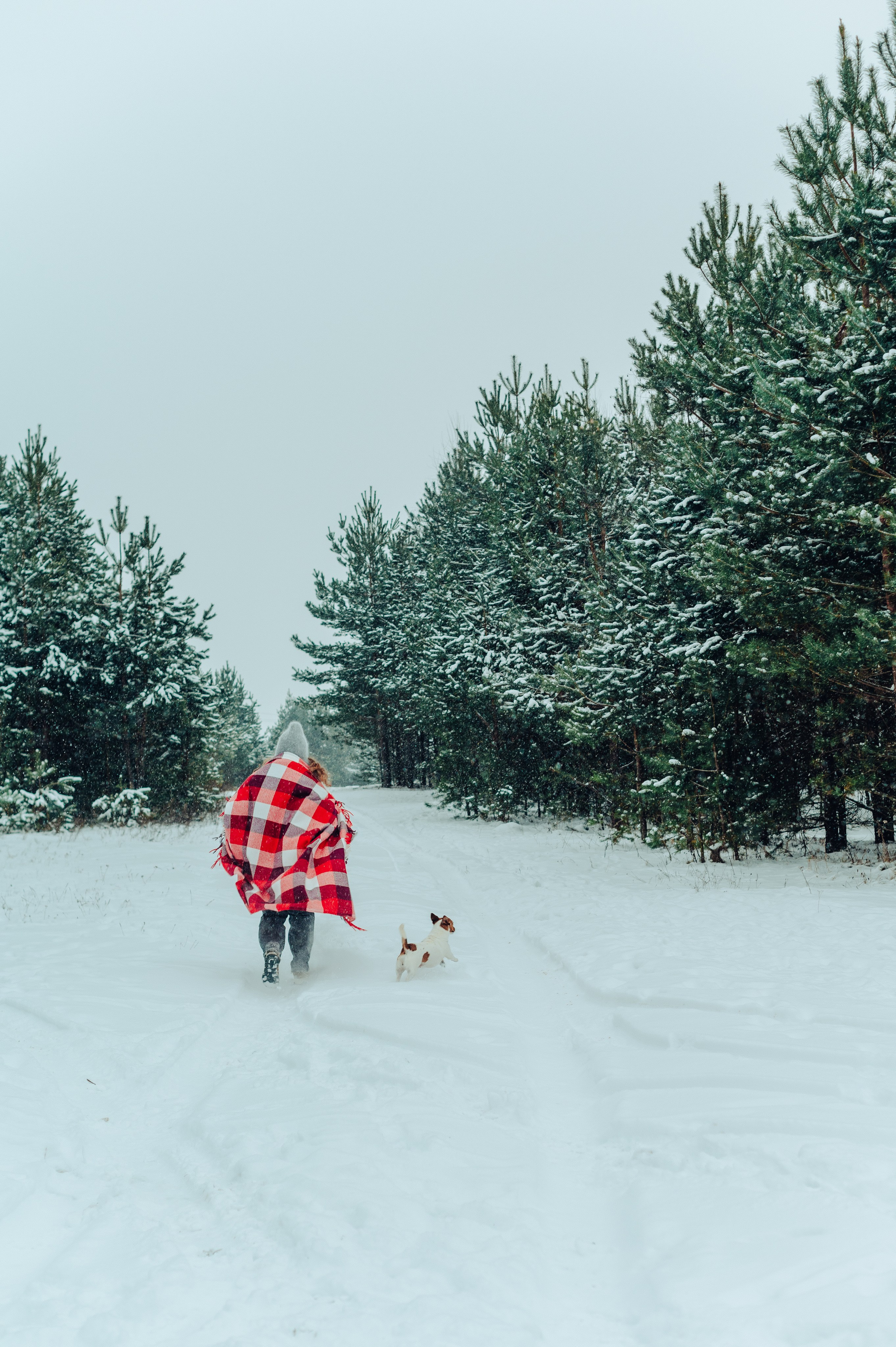 Вика и Денис. Детский и семейный фотограф Катерина Мишина