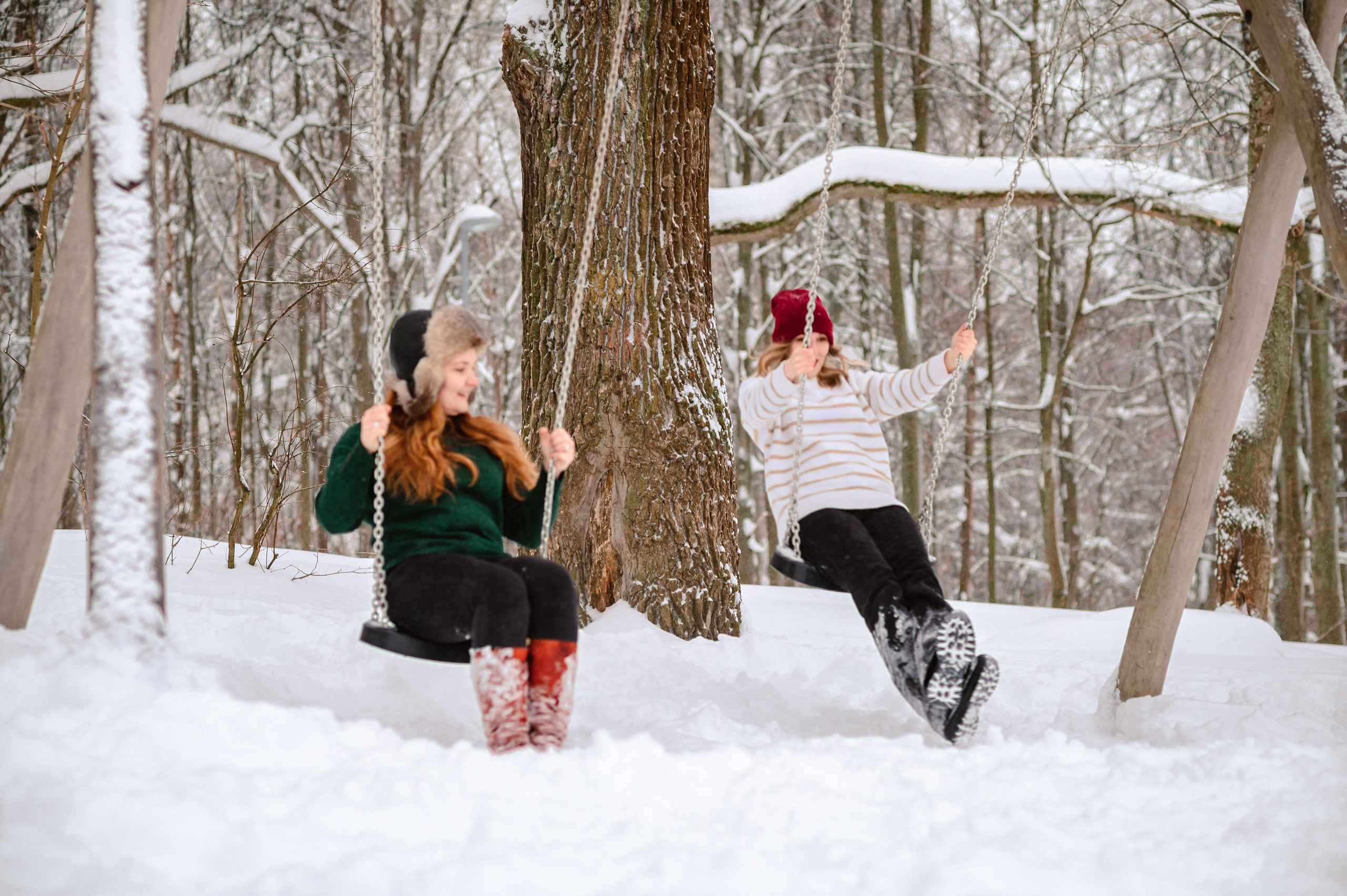 Зима. Фотограф Елена Новикова