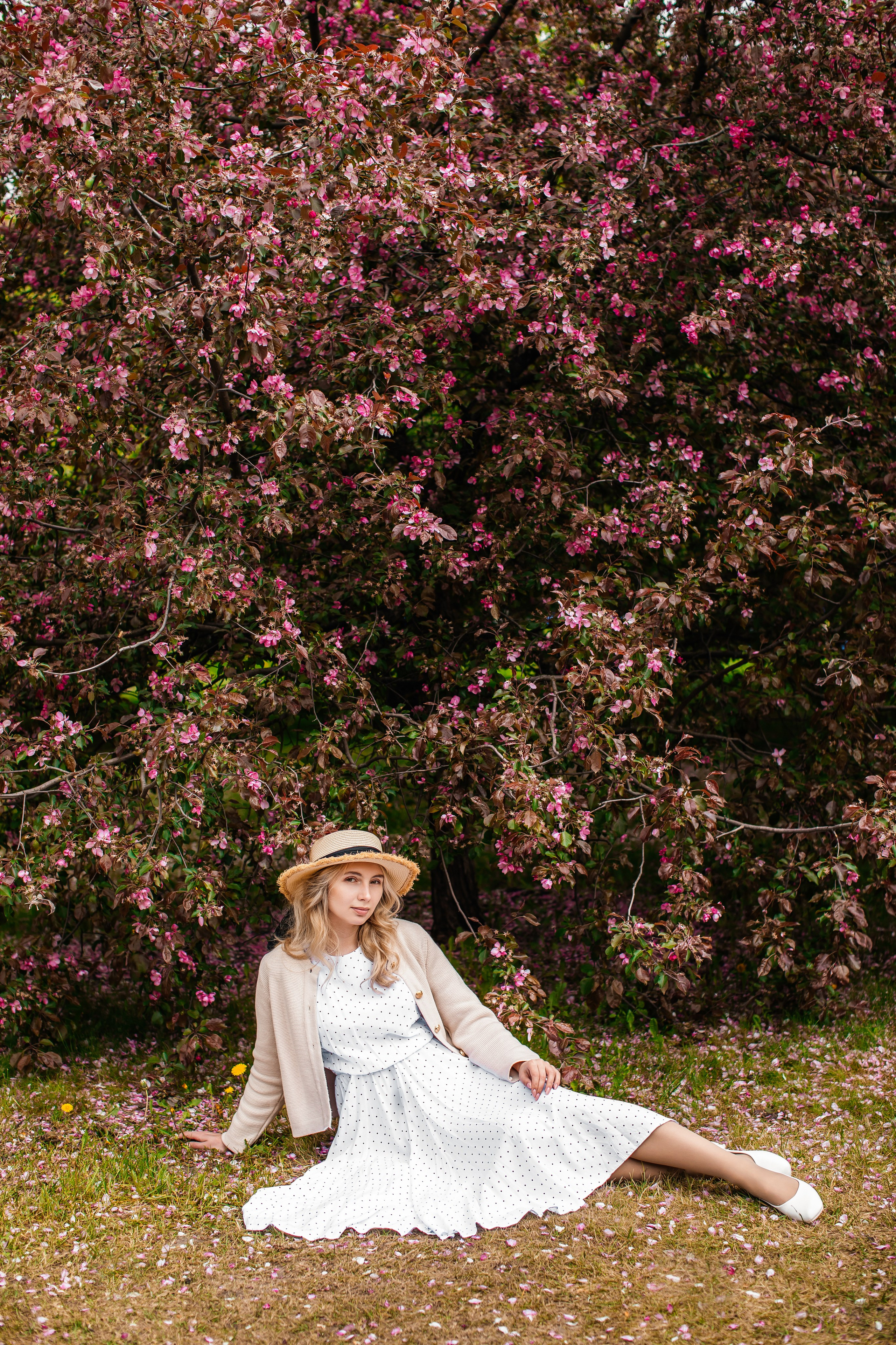 Цветение. Анастасия Давыдова