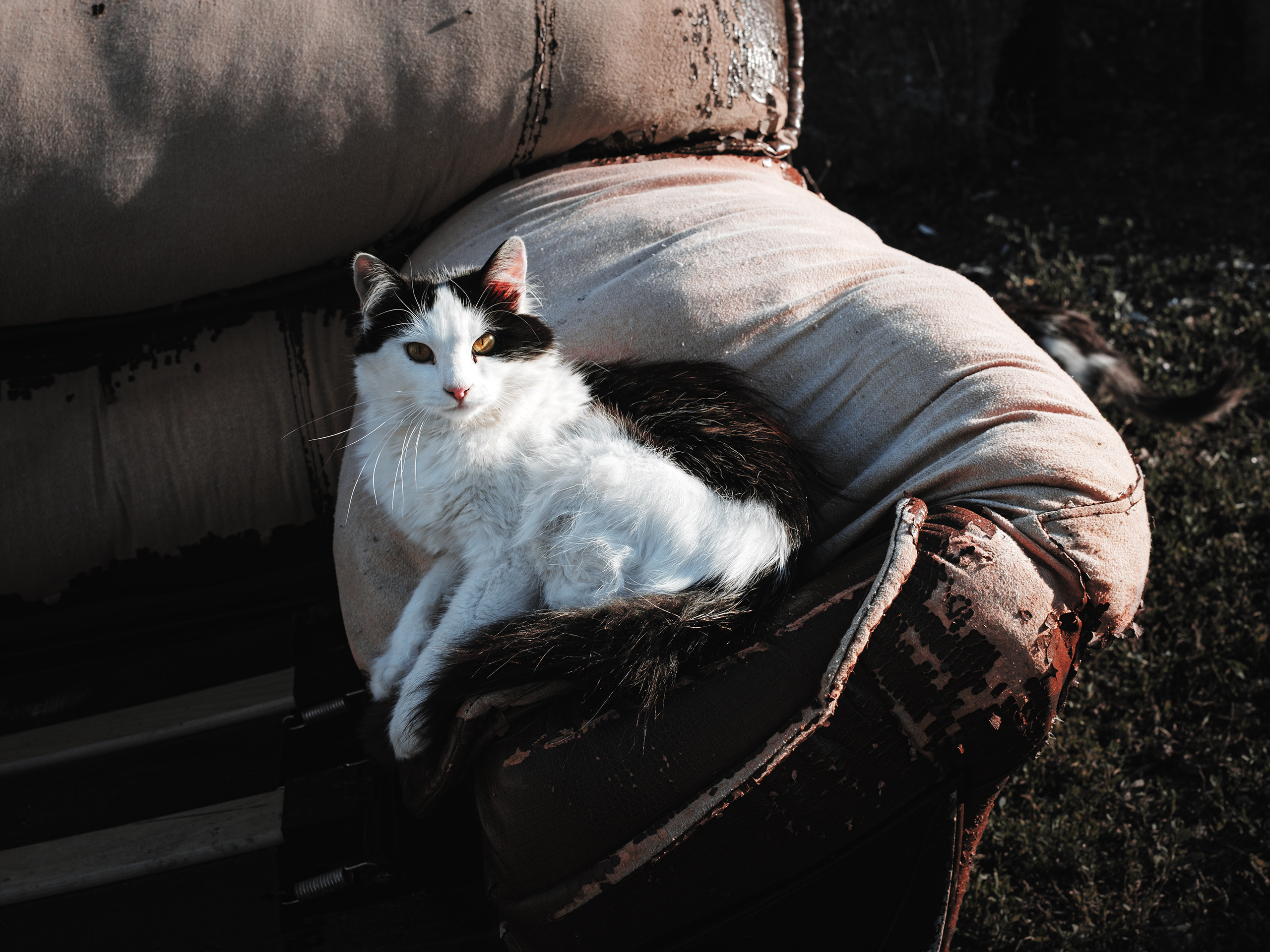 Дагестан. Фотограф документалист Виктор Гаршнеп