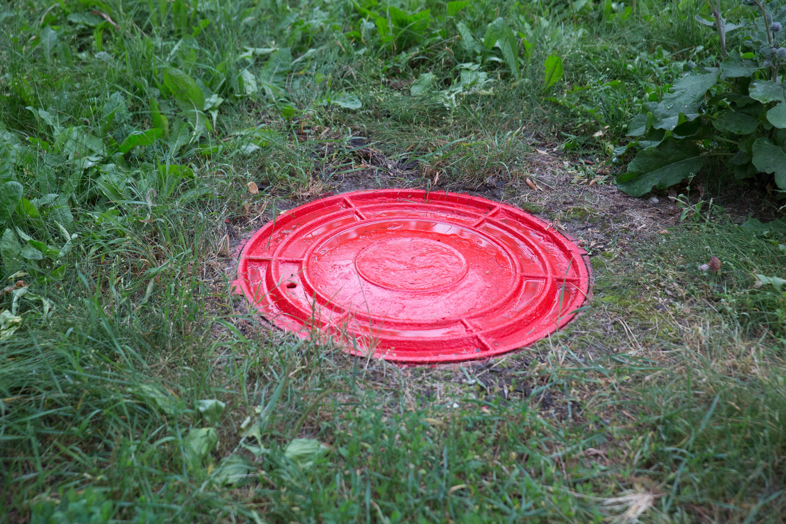 Г. Ярославль. Студия Максима Белослюдцева