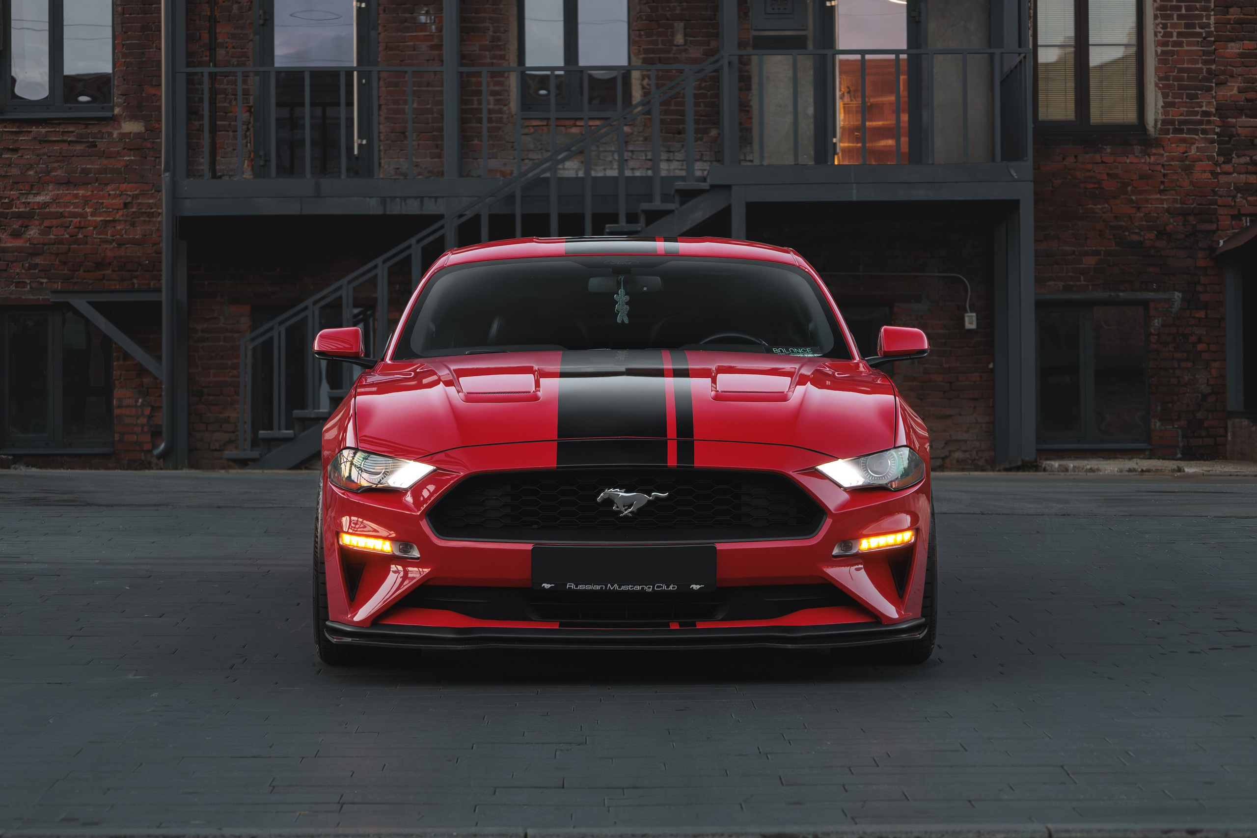 Mustang. Мелехов Дмитрий|Фотограф|Видеограф