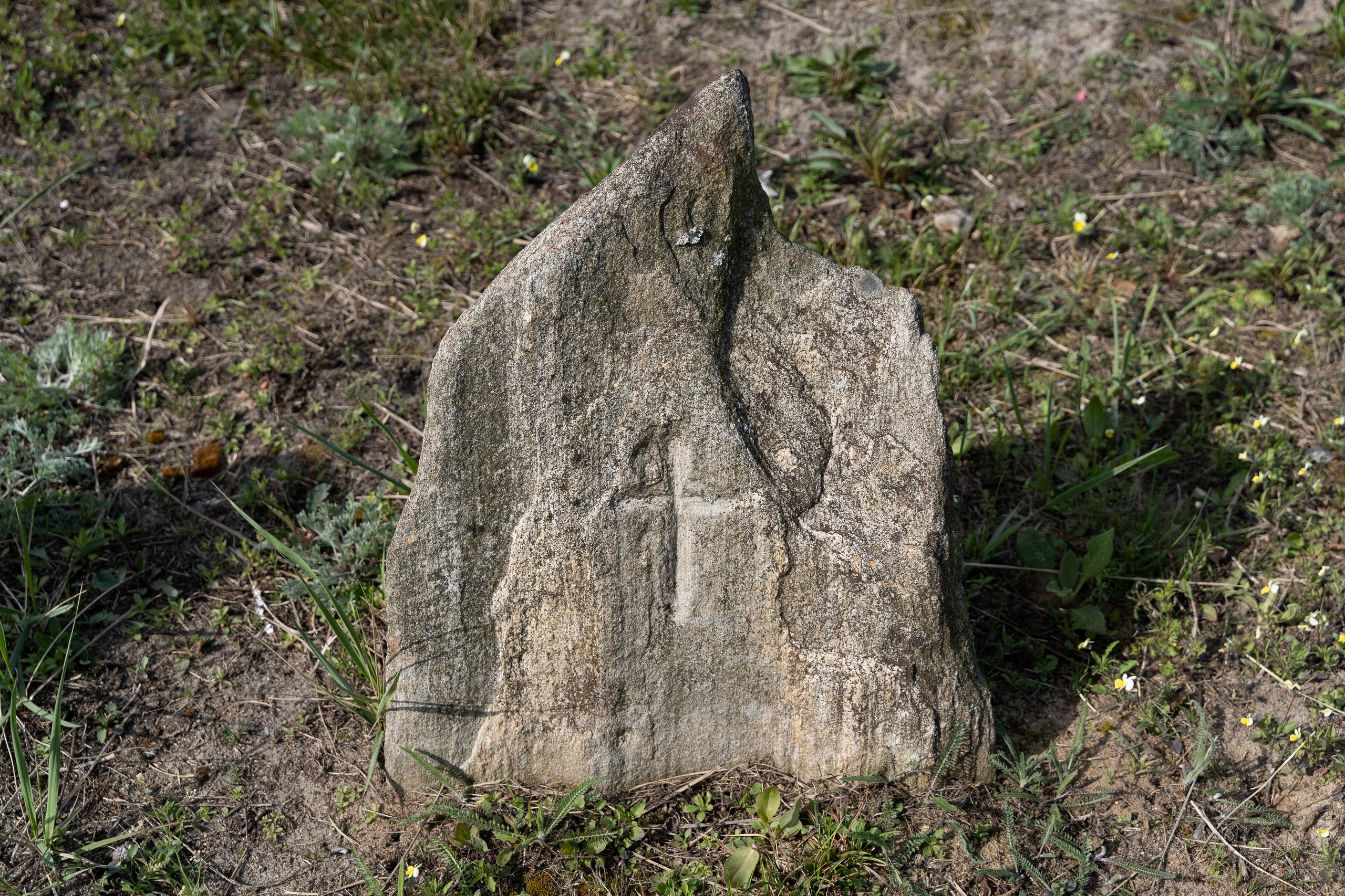 Home.land. Künstler Verstecktoff