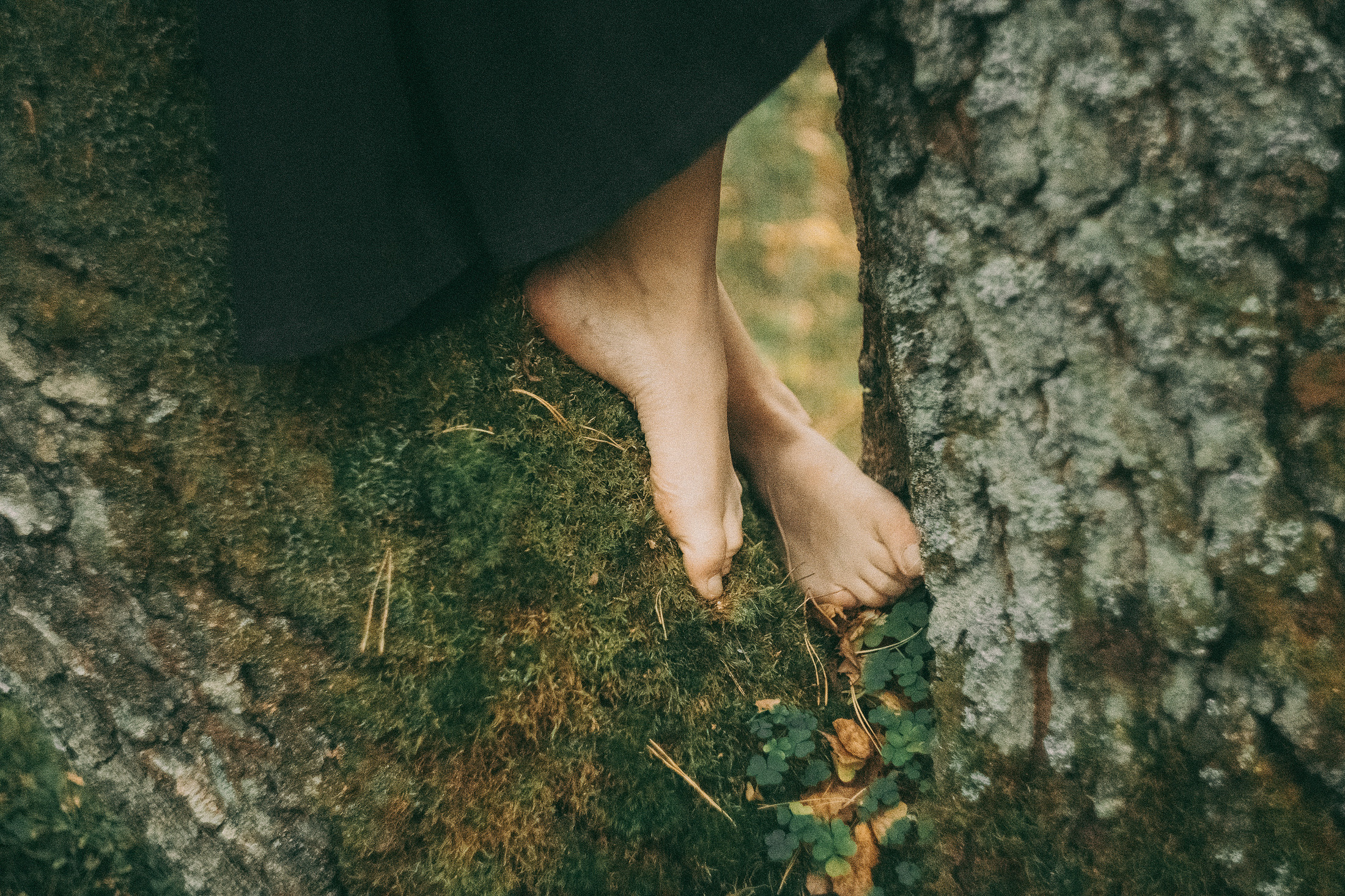 Над соснами. Алиса Аницкая